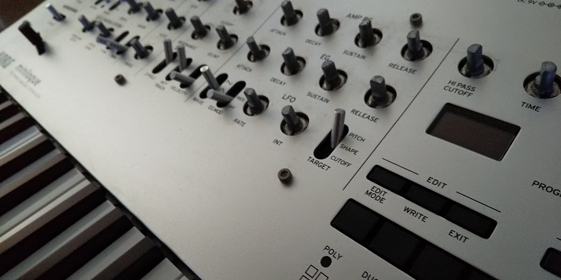 KORG minilogue|hikari togawa KORG minilogue|hikari togawa