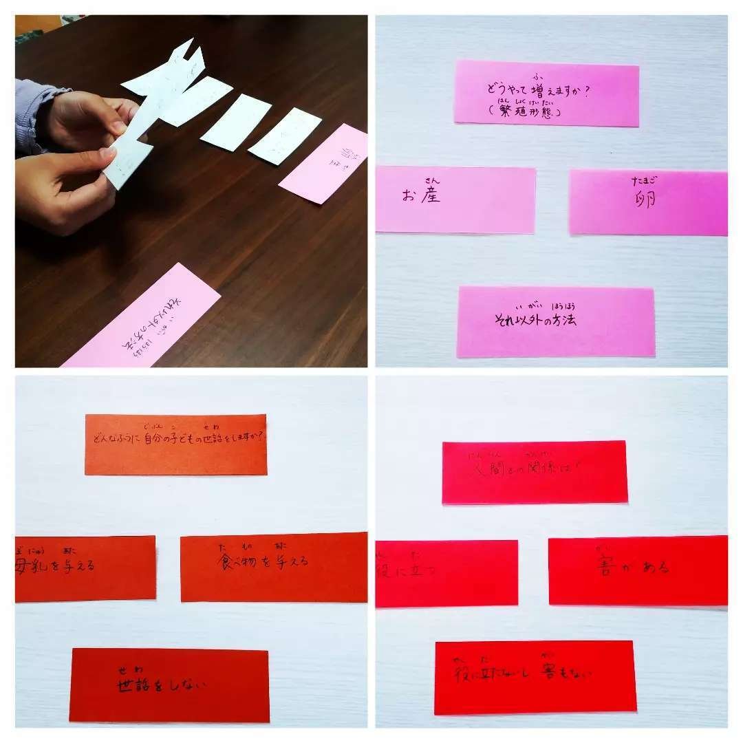 今年はモンテッソーリ小学校教具をつくるぞ モンテッソーリ大人と子どものスクール Note 今年はモンテッソーリ小学校教具をつくるぞ モンテッソーリ大人と子どものスクール Note