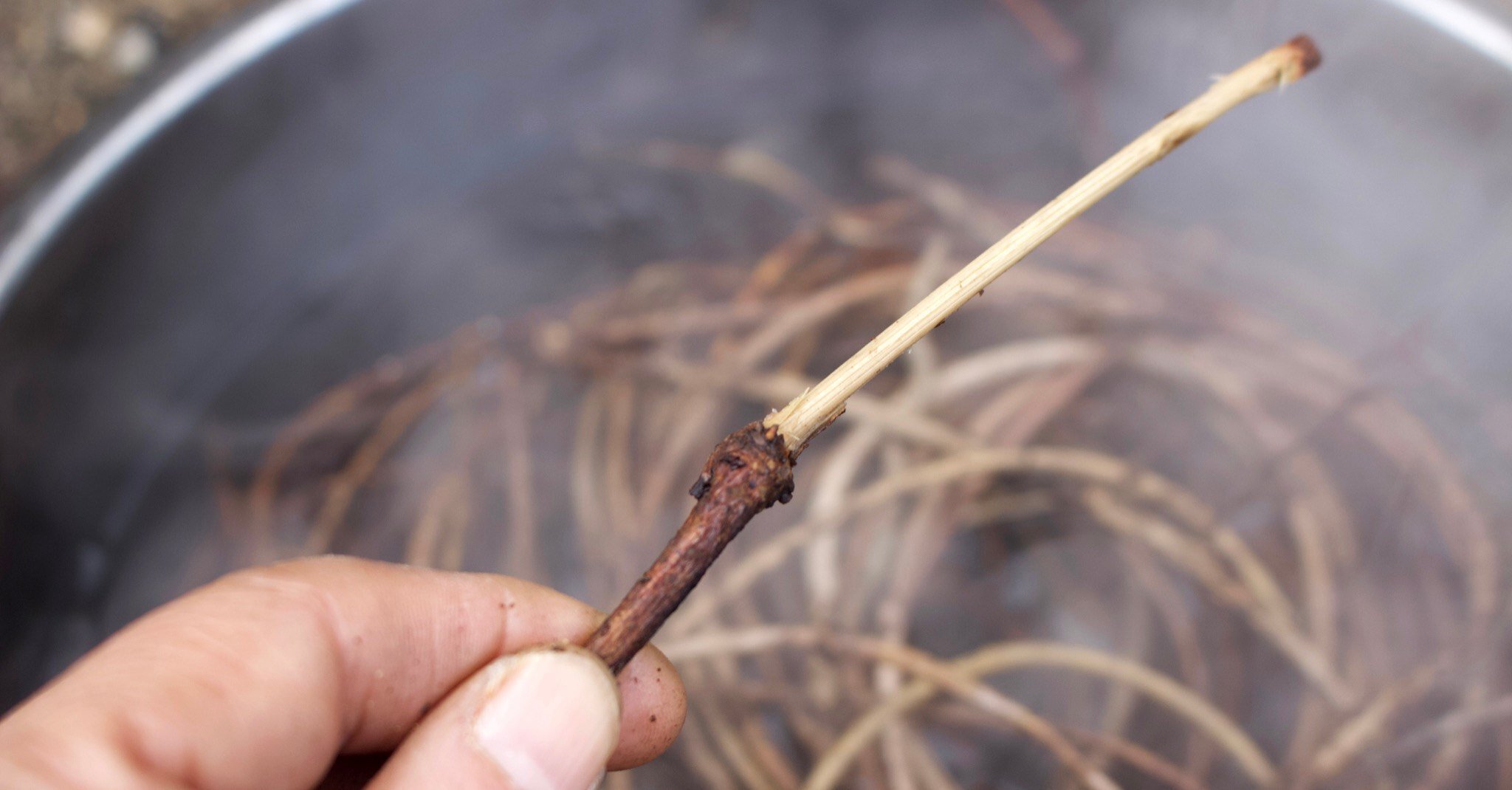 採ってきたあけびつるの下処理（やり方）ー壊れた蕎麦ざる修理のために