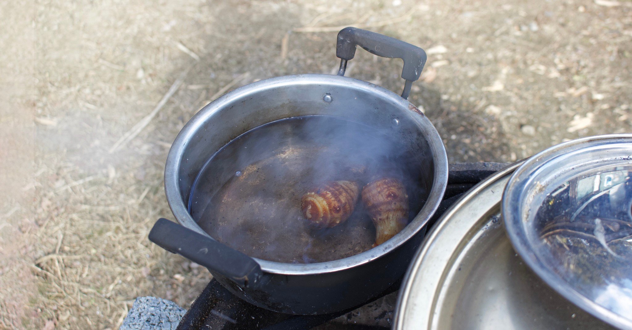 採ってきたあけびつるの下処理（やり方）ー壊れた蕎麦ざる修理のために