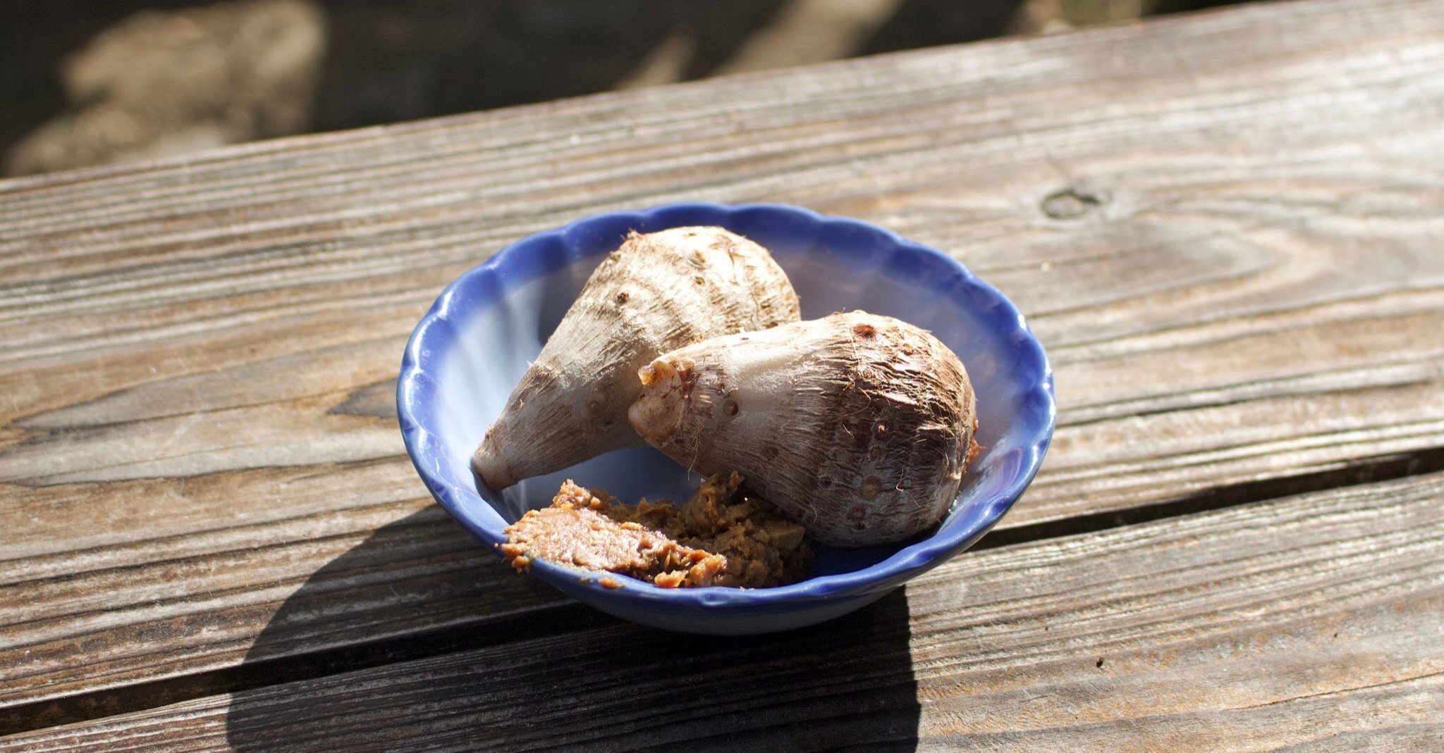 採ってきたあけびつるの下処理（やり方）ー壊れた蕎麦ざる修理のために