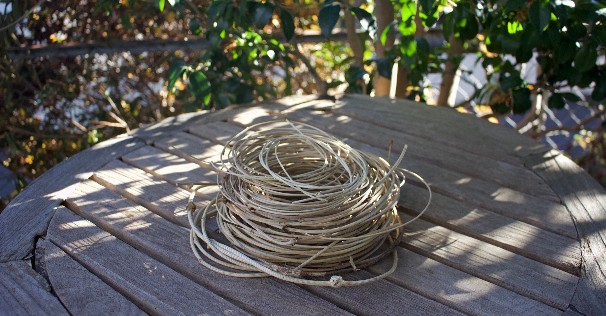 採ってきたあけびつるの下処理（やり方）ー壊れた蕎麦ざる修理のために