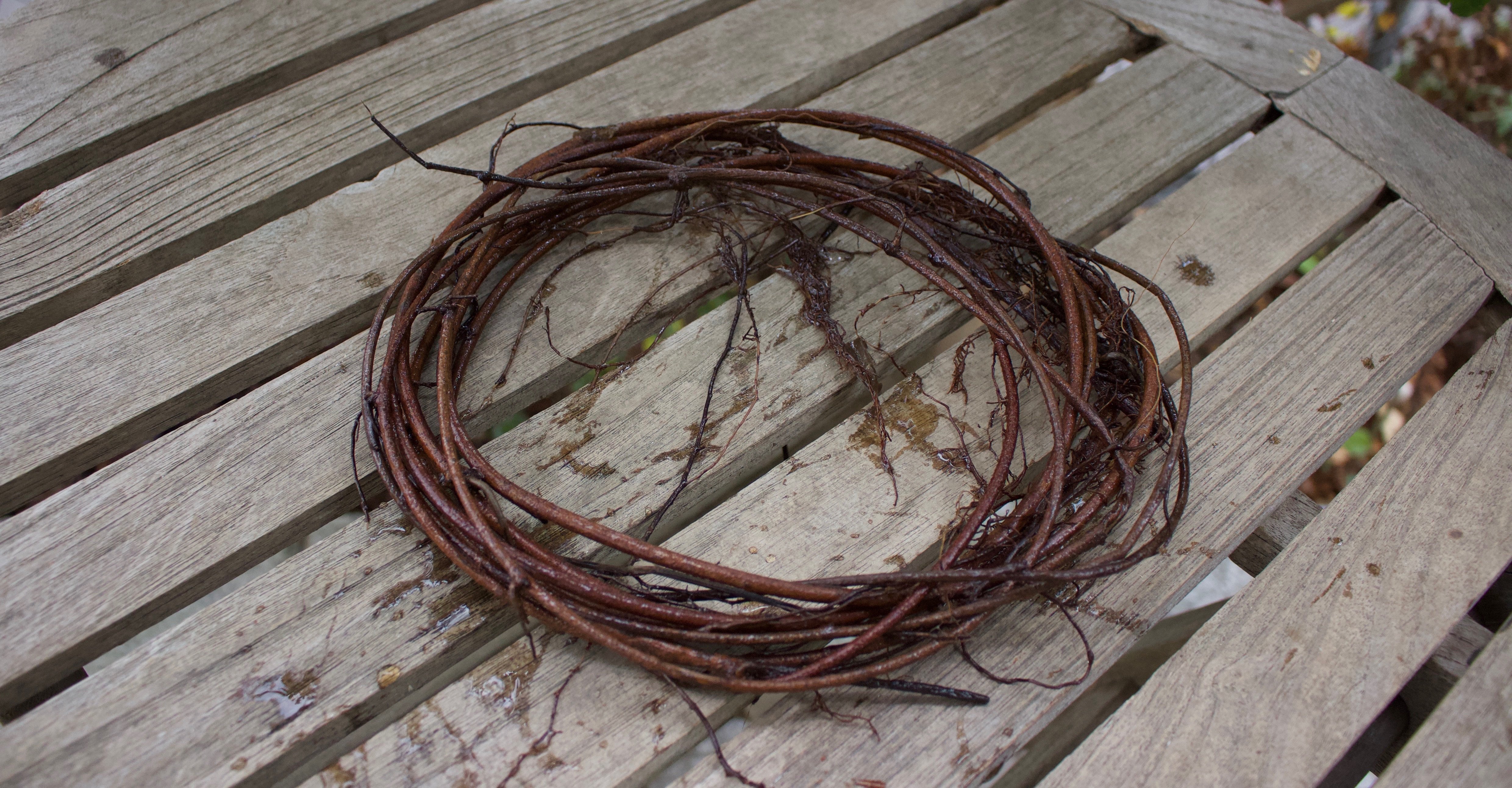 皮剥いたあけびのツル