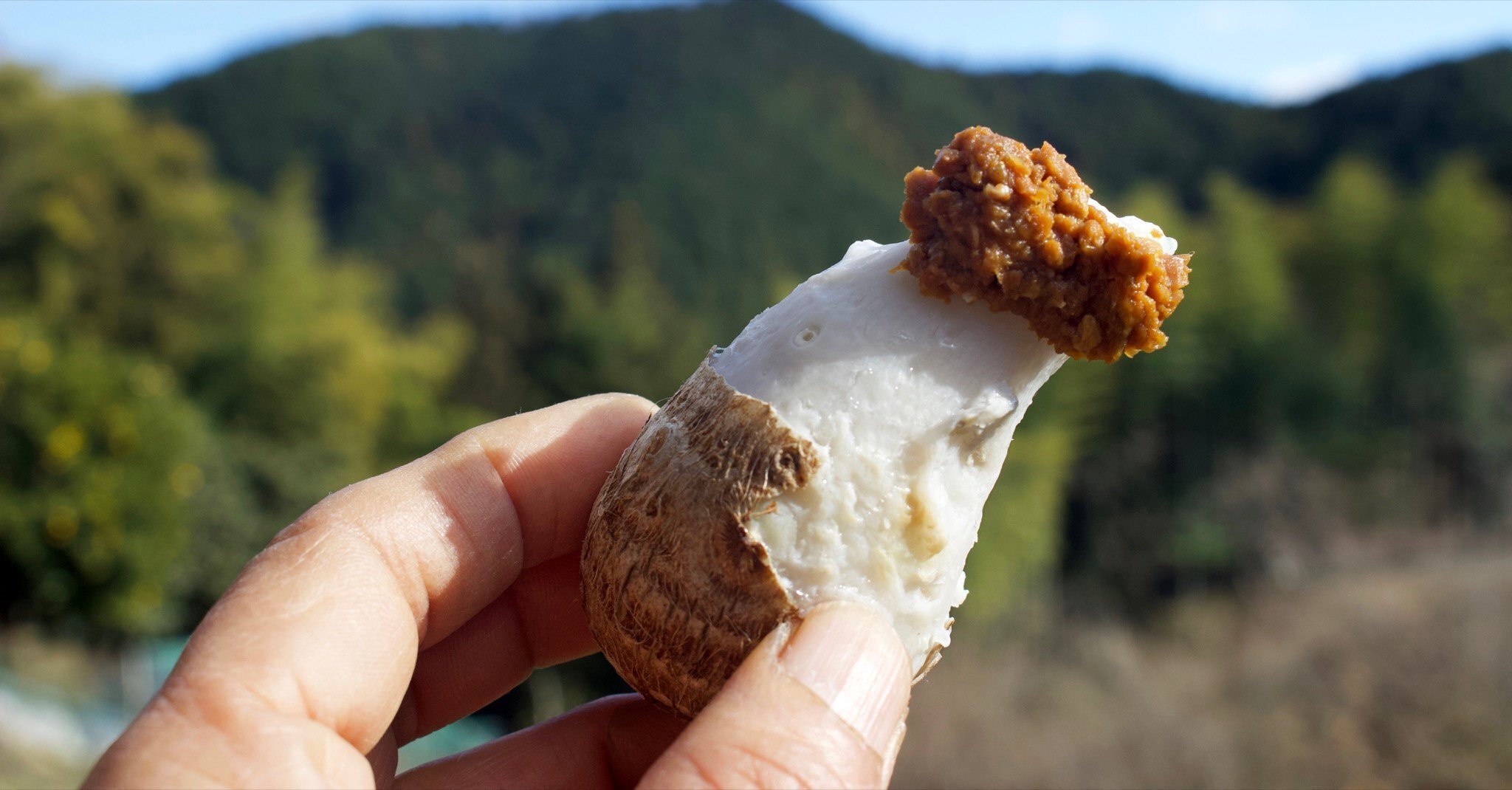 採ってきたあけびつるの下処理（やり方）ー壊れた蕎麦ざる修理のために