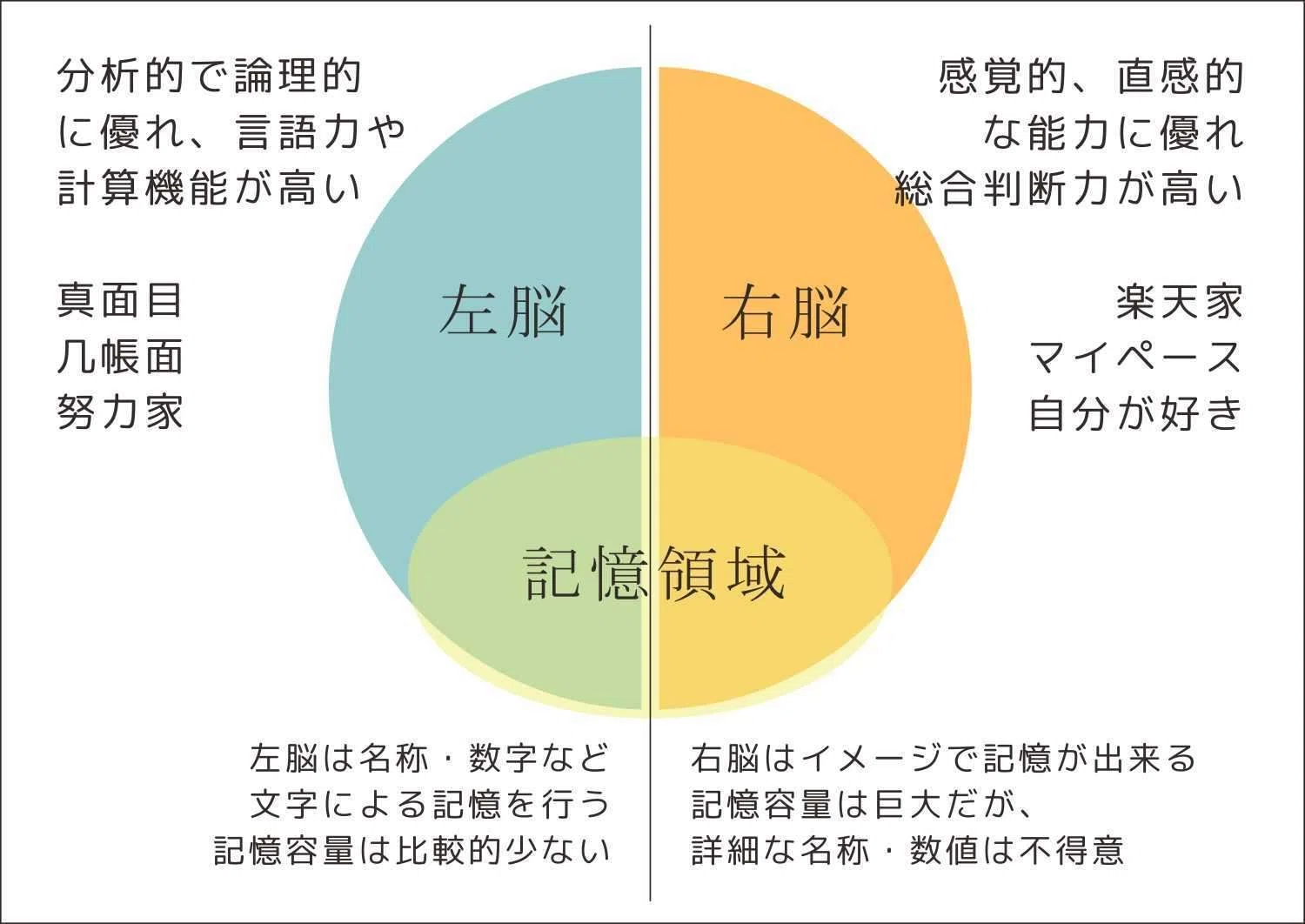 右脳 or 左脳」それぞれの鍛え方｜【M4】Zero Dawn Project