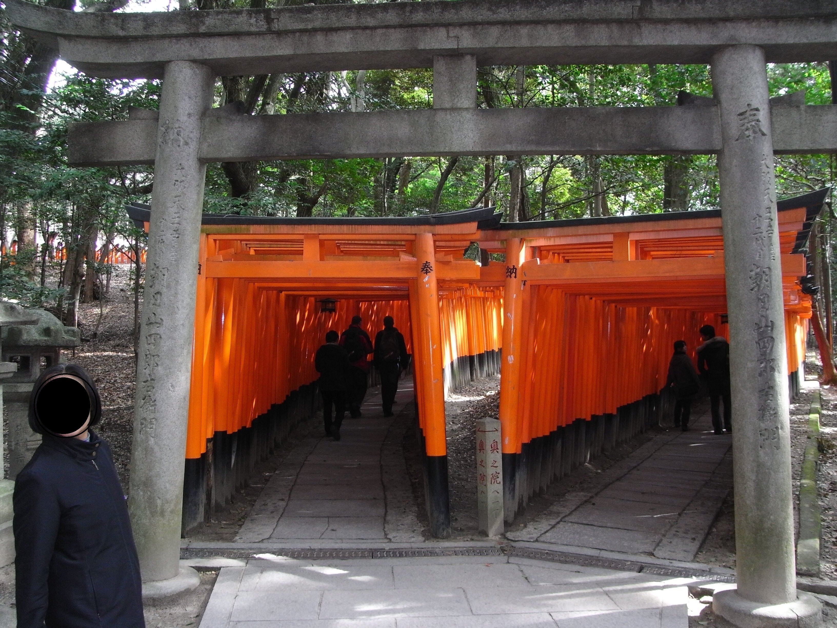 週刊日本の神社 伏見稲荷大社 稲荷大神信仰総本宮 眷属白狐 神奈