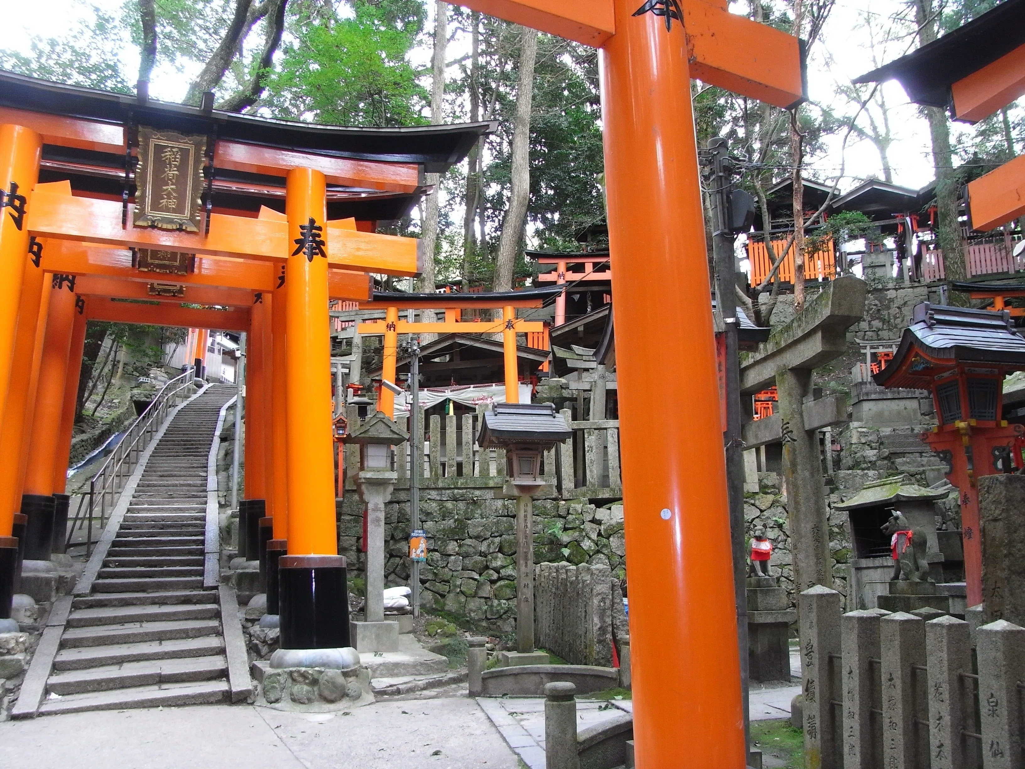 京都代表「伏見稲荷大社」秦氏ゆかり神社【京都】稲荷山｜やんまあ