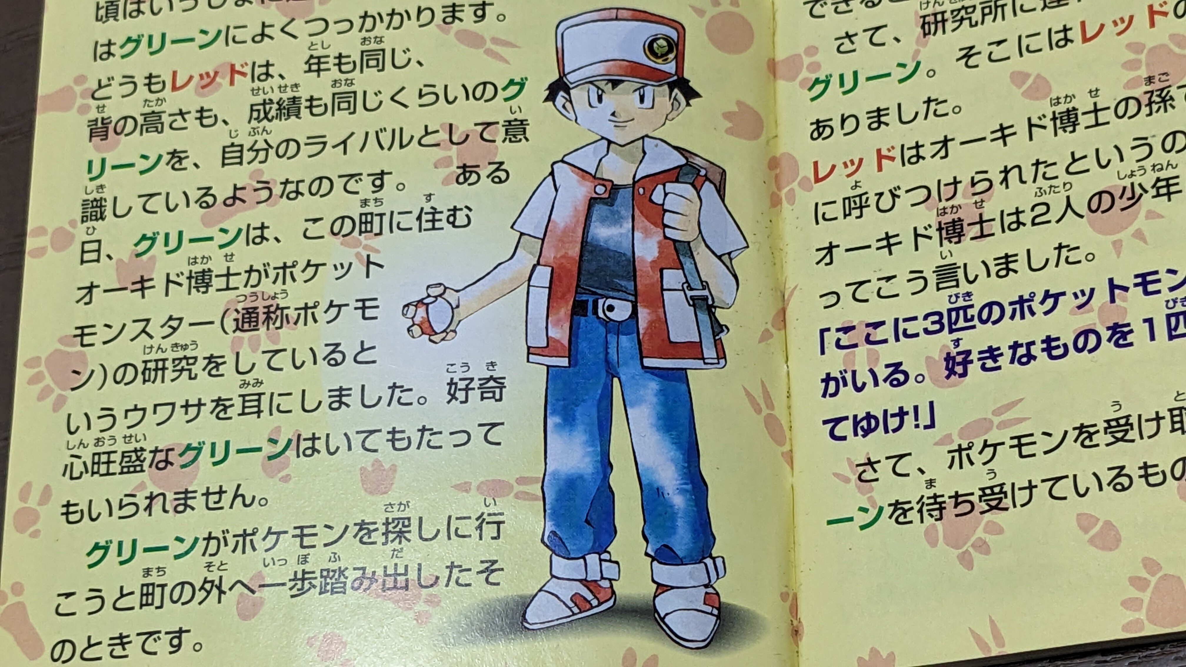 ポケモン コレクタブルアート レッド&ピカチュウ 20周年 杉森健 ポケモン コレクタブルアート レッド&ピカチュウ 20周年 杉森健 希少