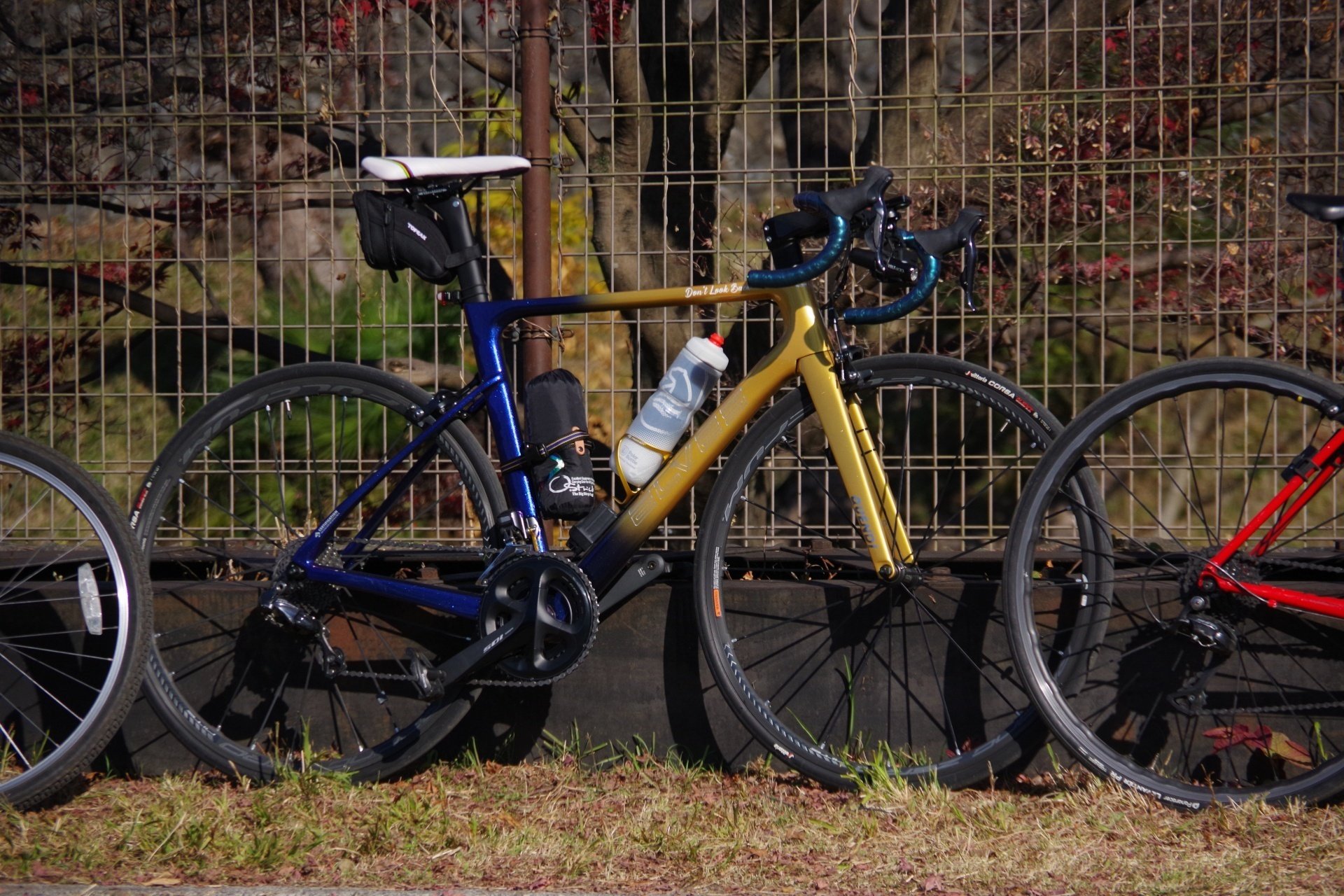 Elvesというロードバイクを買った話｜ヌカり