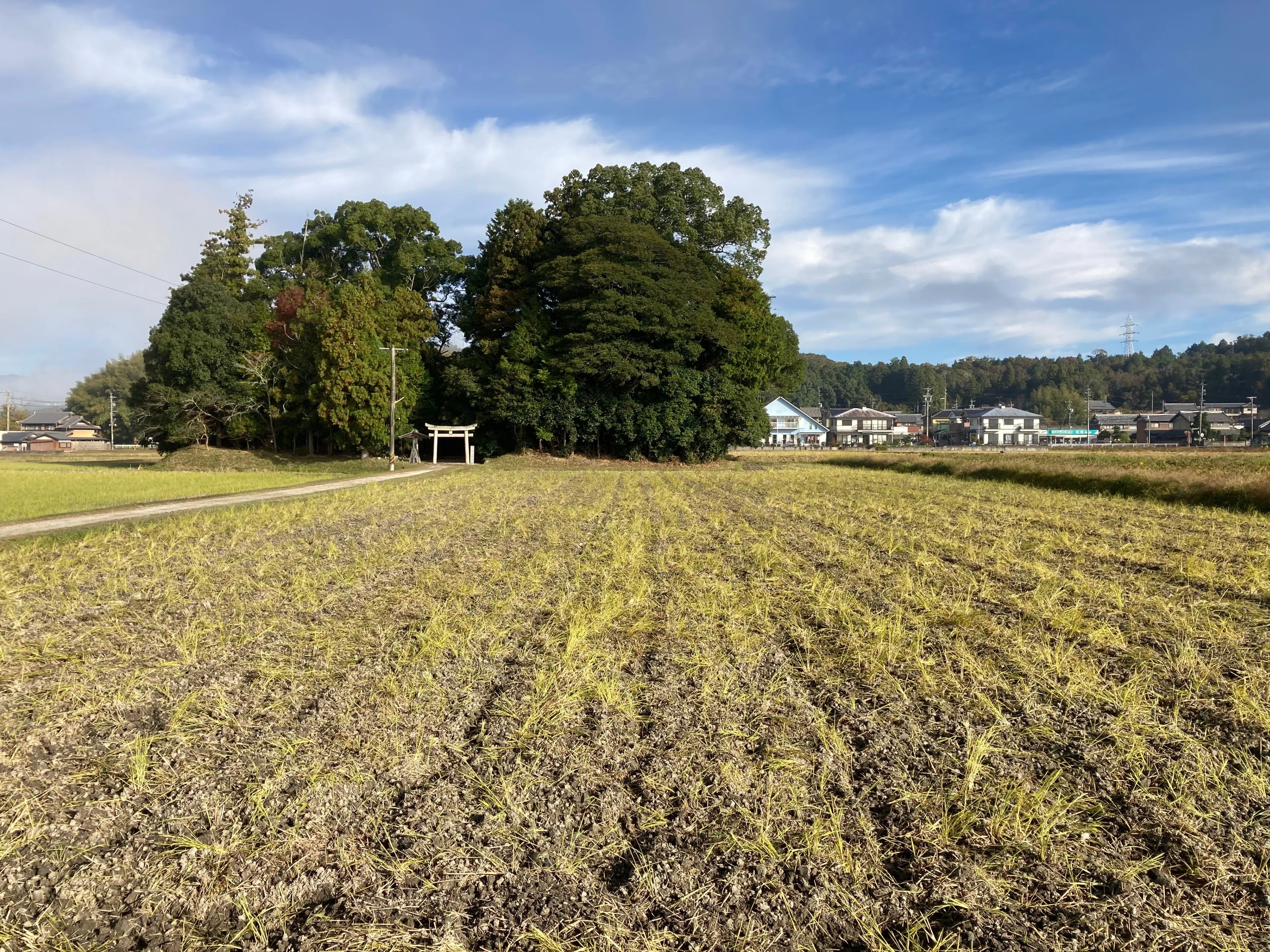 ゼロから始める伊賀の米づくり38:湿地化しつつある田んぼを秋起こし