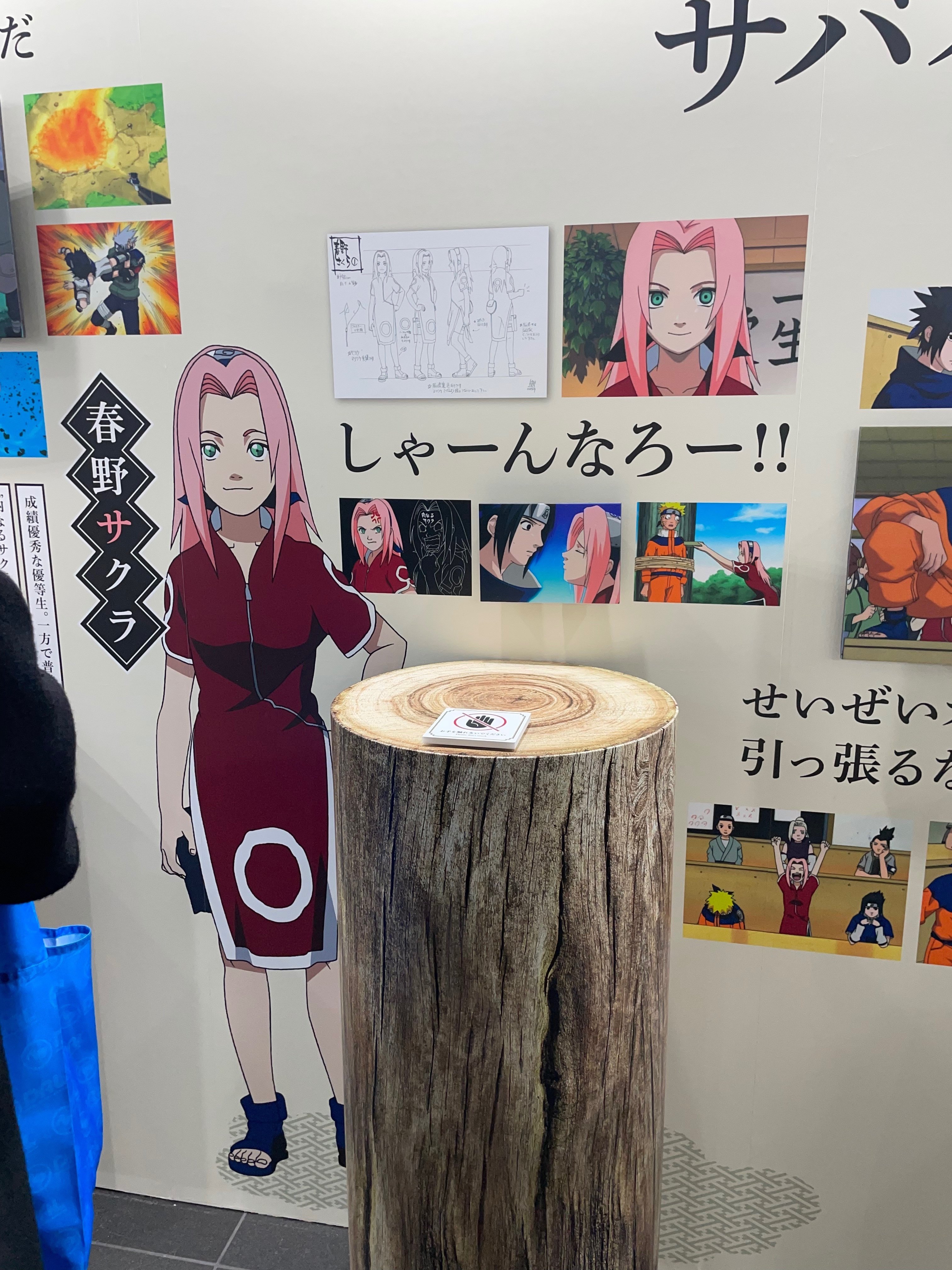 NARUTO展】二次元の夫と運命の再会を果たして心が14歳まで若返った