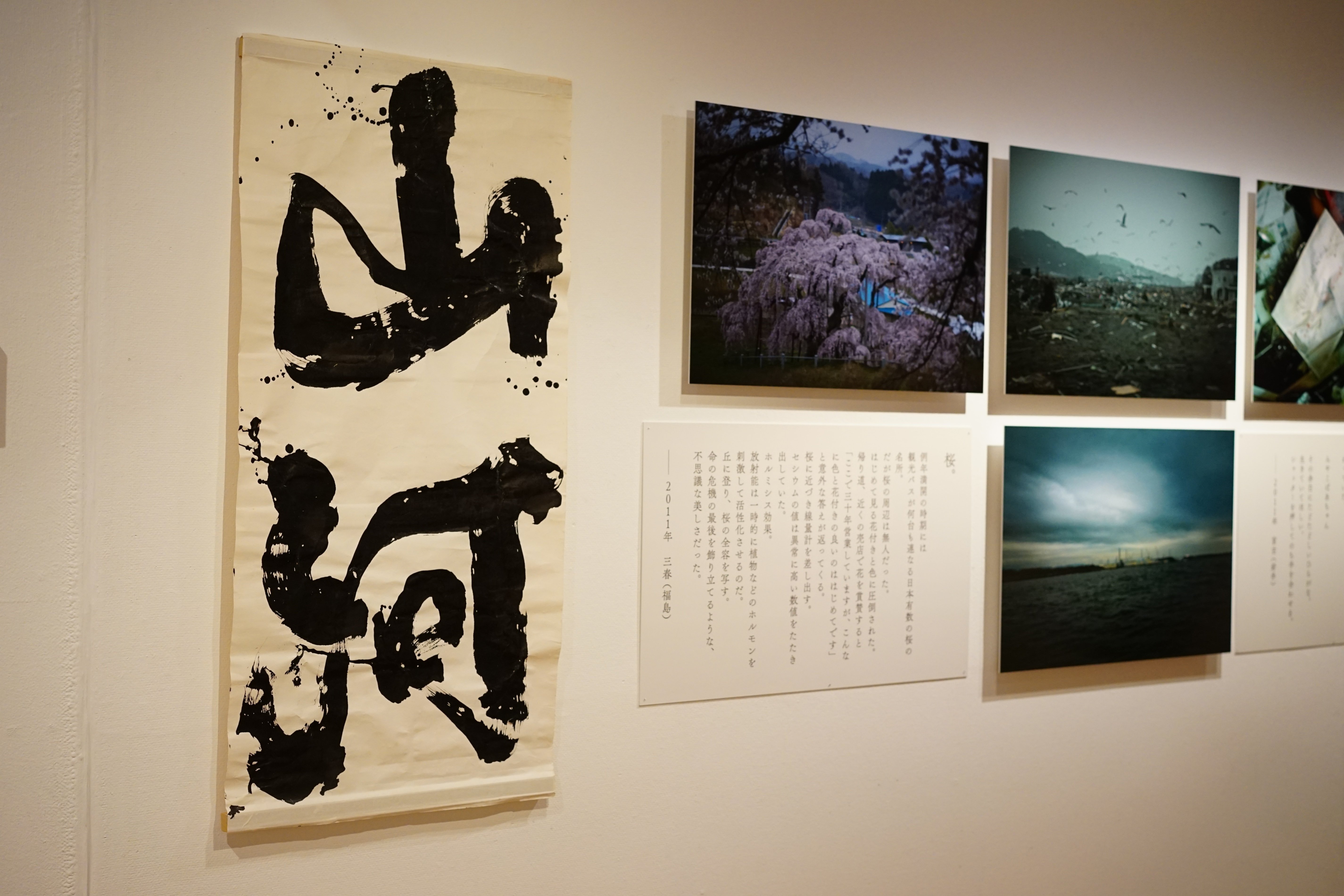 展覧会レビュー：祈り・藤原新也＠世田谷美術館｜Naota_t