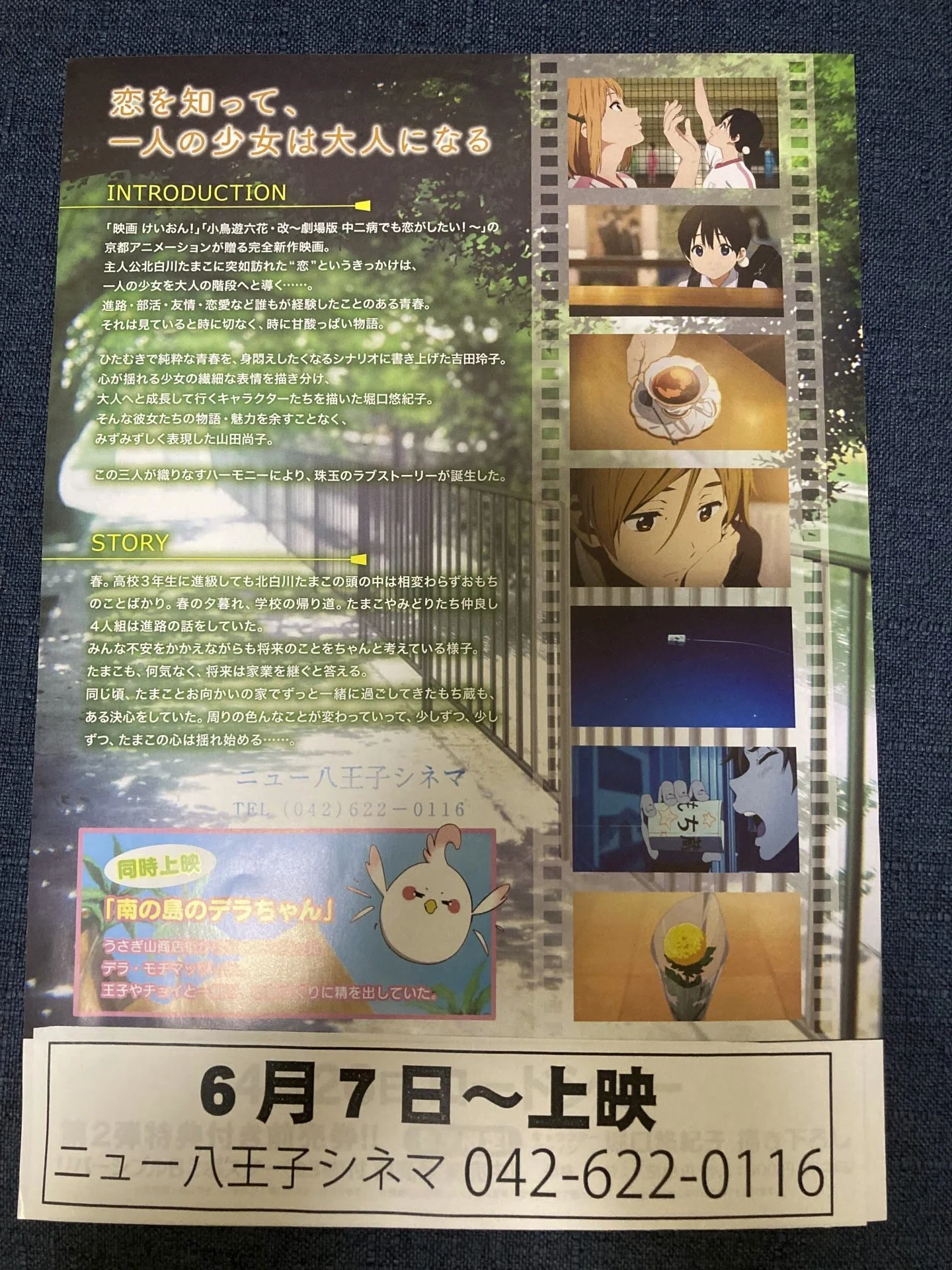 たまこまーけっと10周年記念！ 思い出置き場～たまこと私～｜なっきー