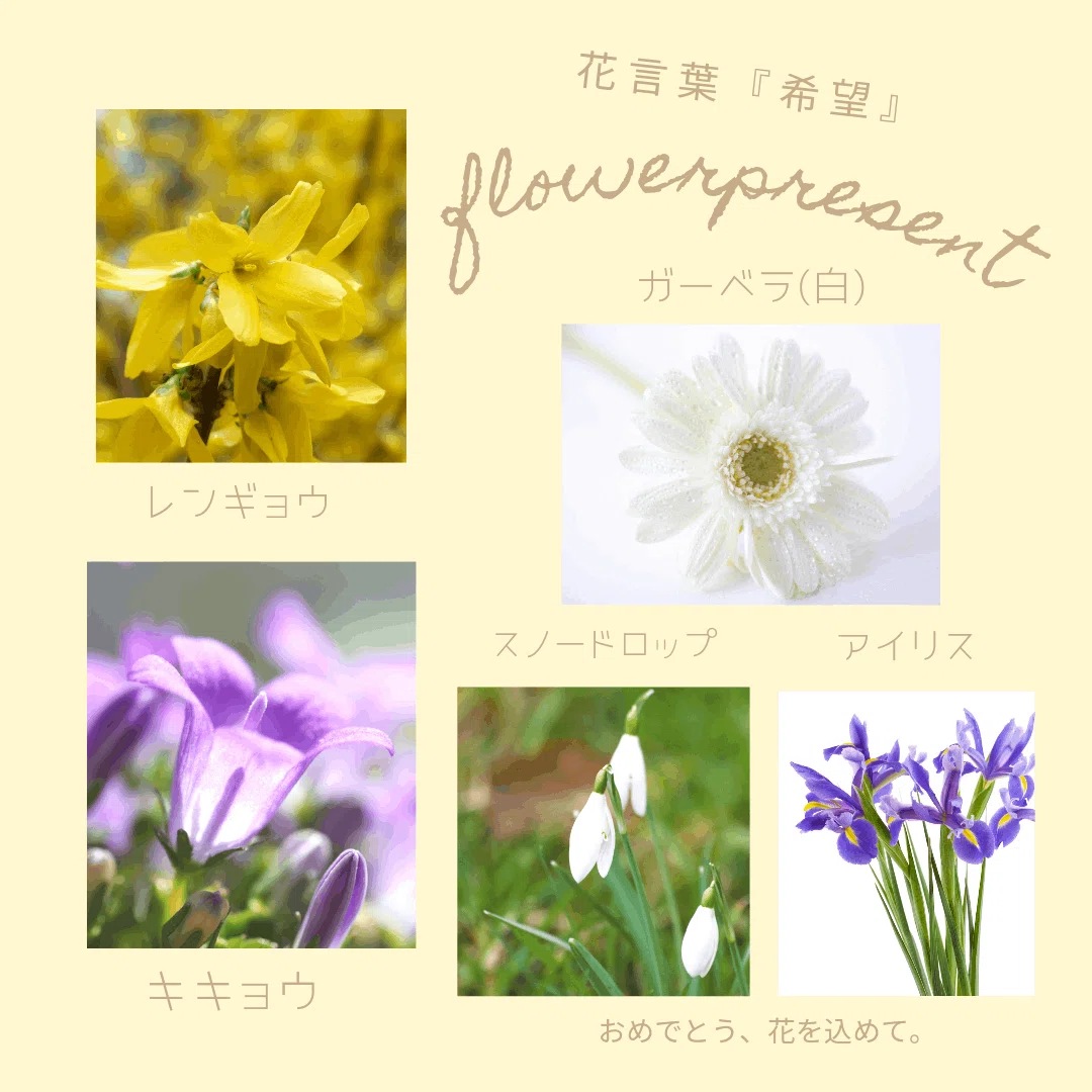 成人の日におすすめの贈る花 とイラストデザイン 森田はぐみ イラストレーター Hanapopdesign Hug Note