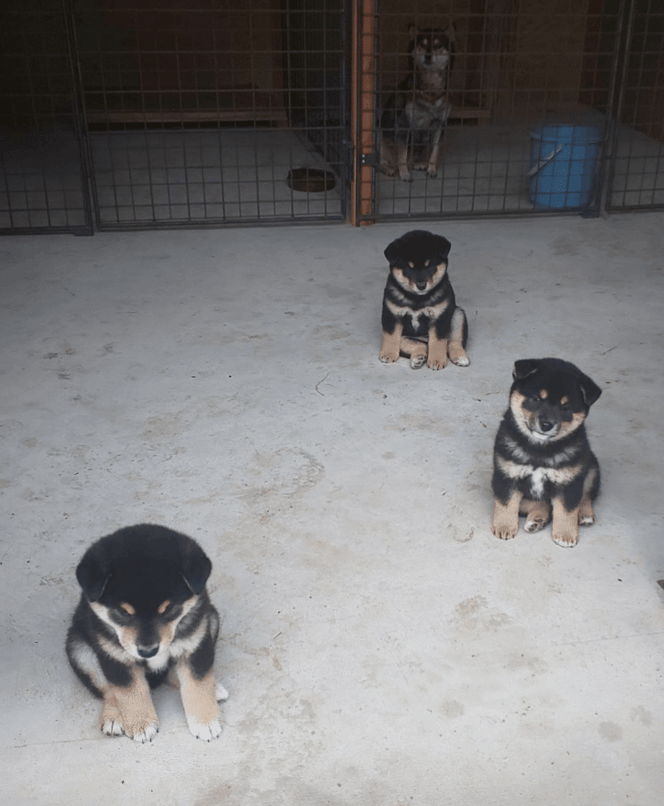 Cdgo Lgfmnwjm Cdgo Lgfmnwjm