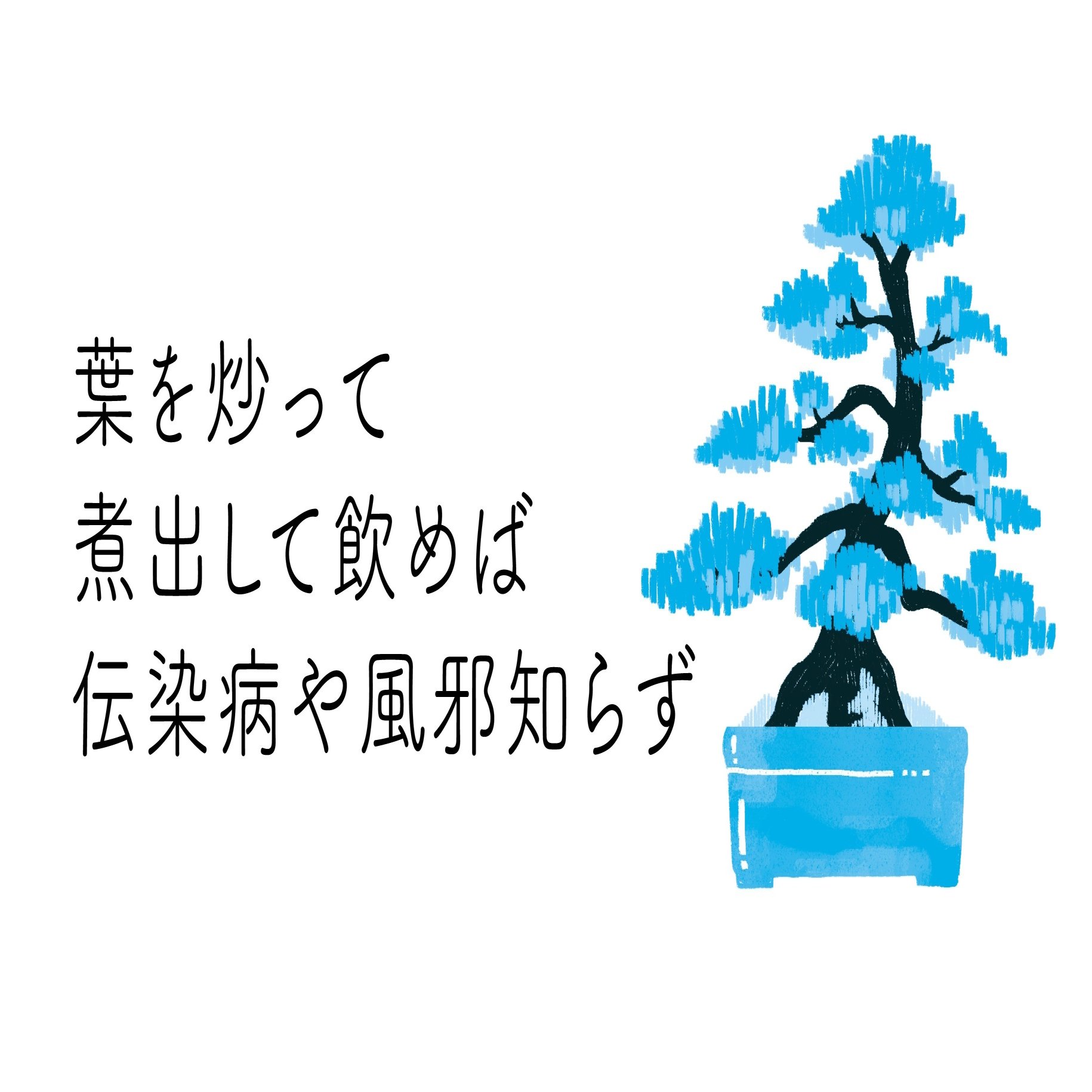 1月の開運植物 ビジネス社 Note