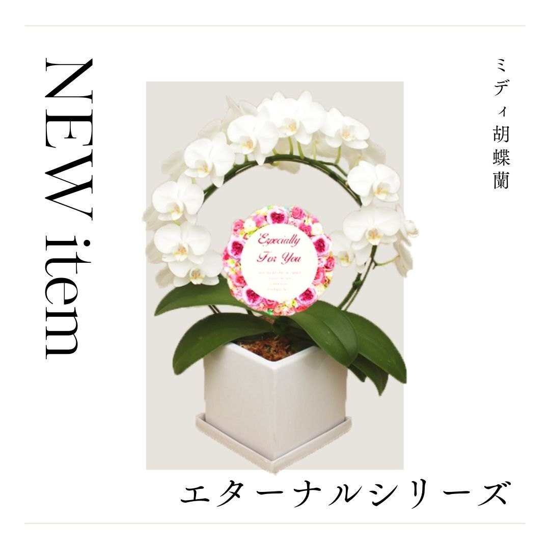 世界でいちばん花を贈る日inフラワーバレンタイン・ホワイトデー@胡蝶