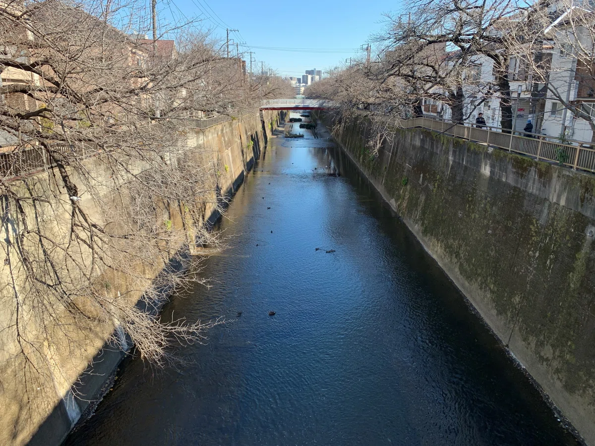 現存しない川 東京北区の「稲付川」を巡る|たー