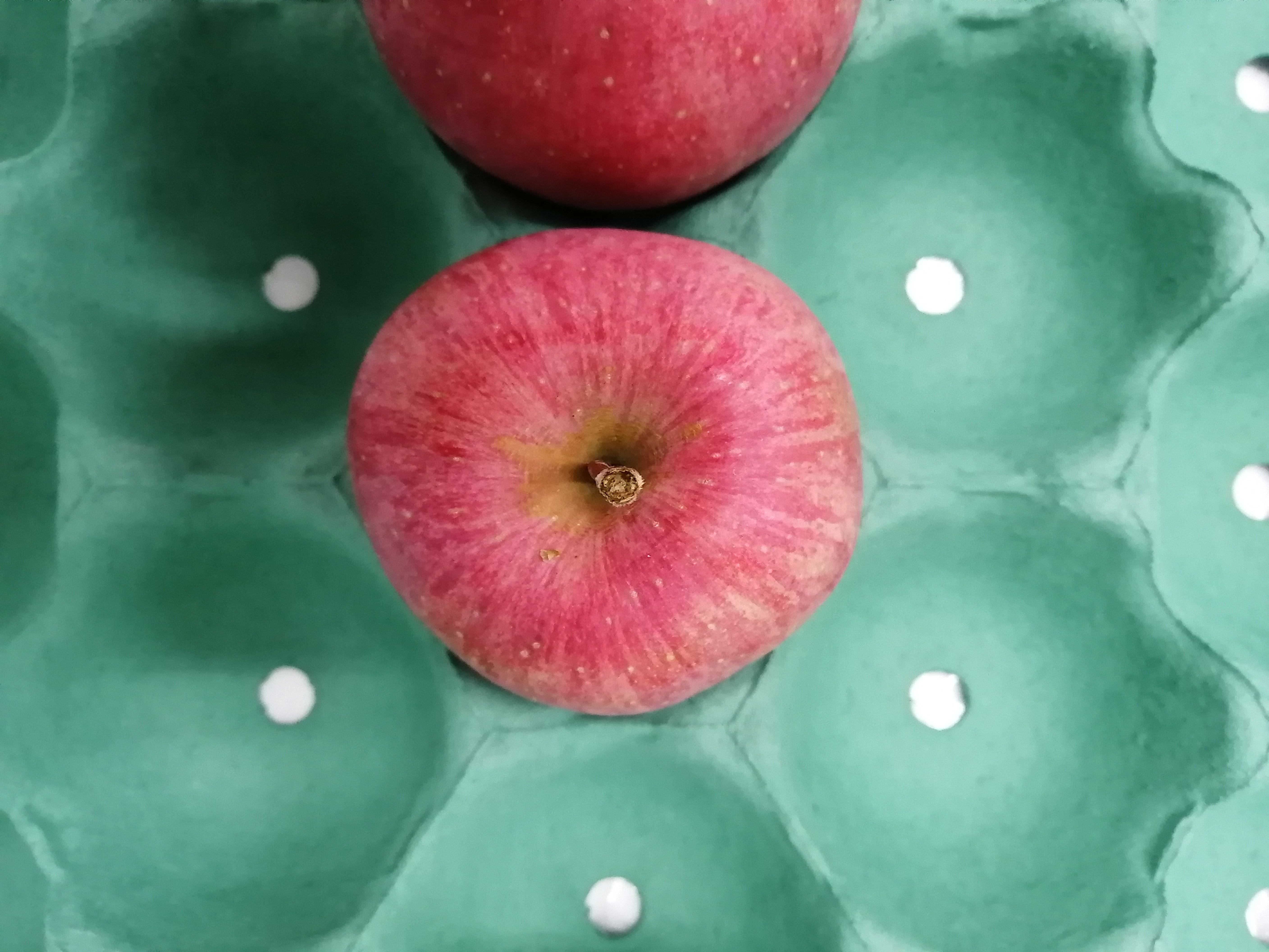 りんごの見た目チェックポイント③変形｜ミカミアカネ