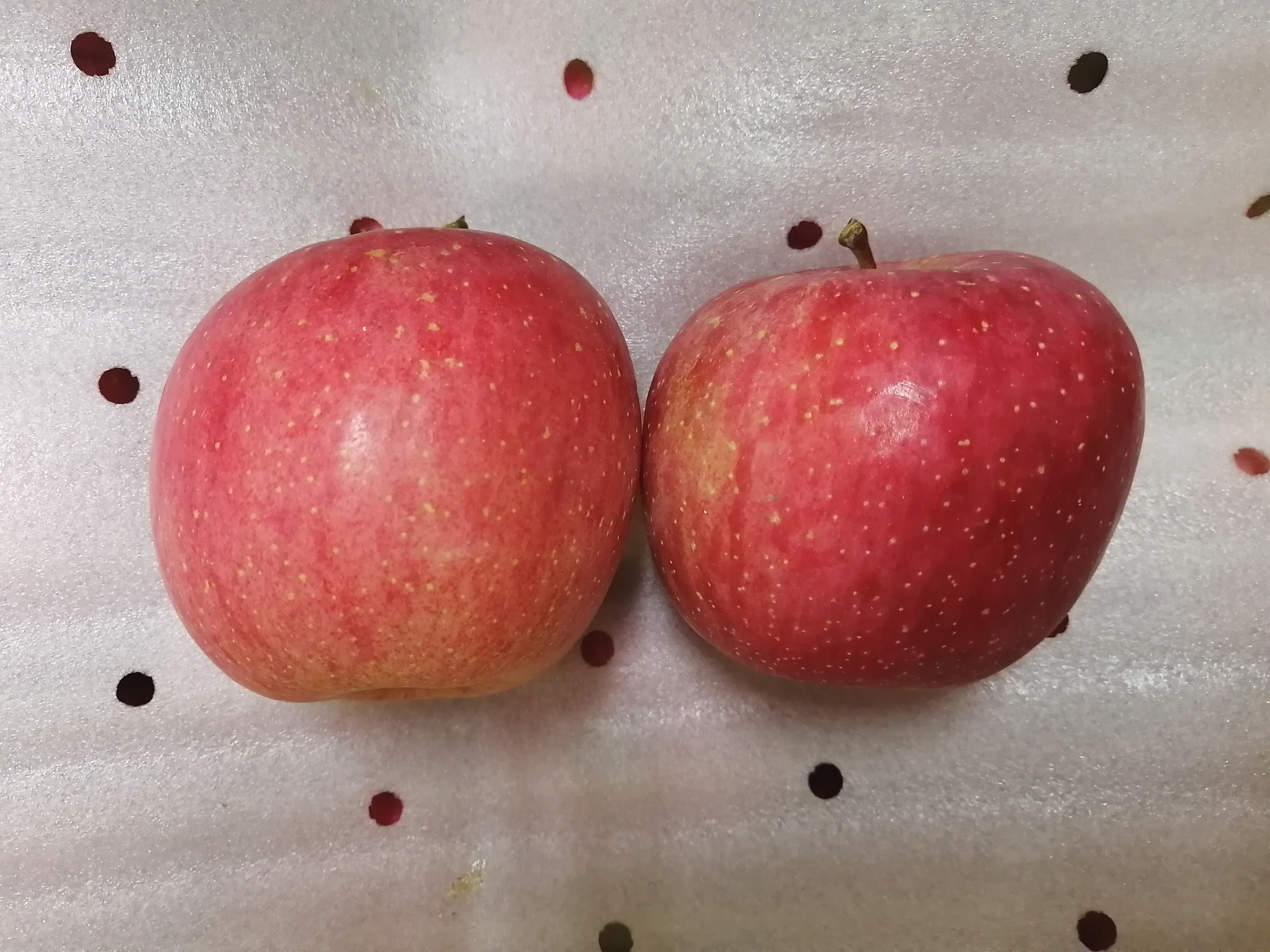 りんご様確認用 りんご様確認用