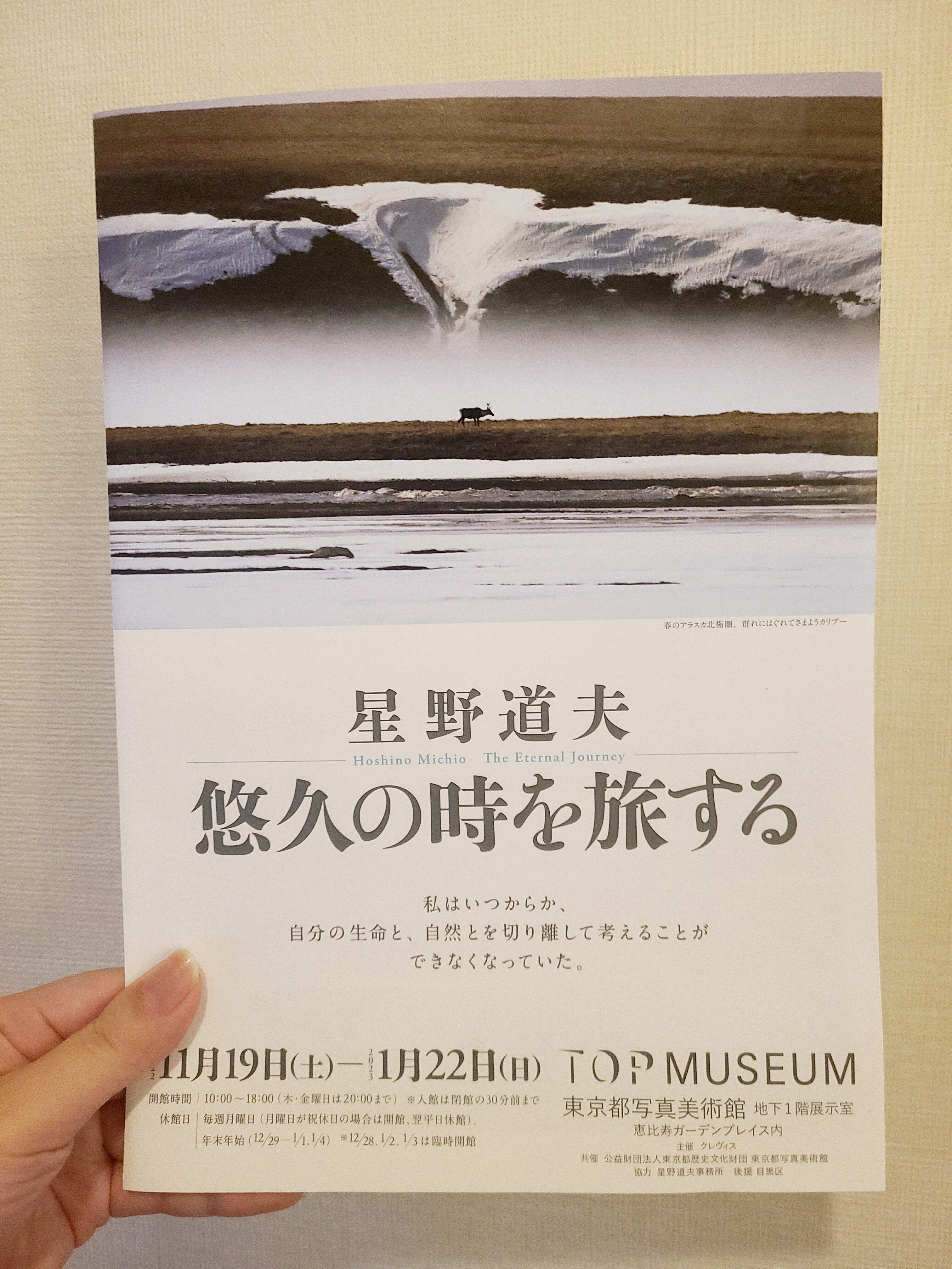厳しい冬を乗り越えて（東京都写真美術館にて）｜紬