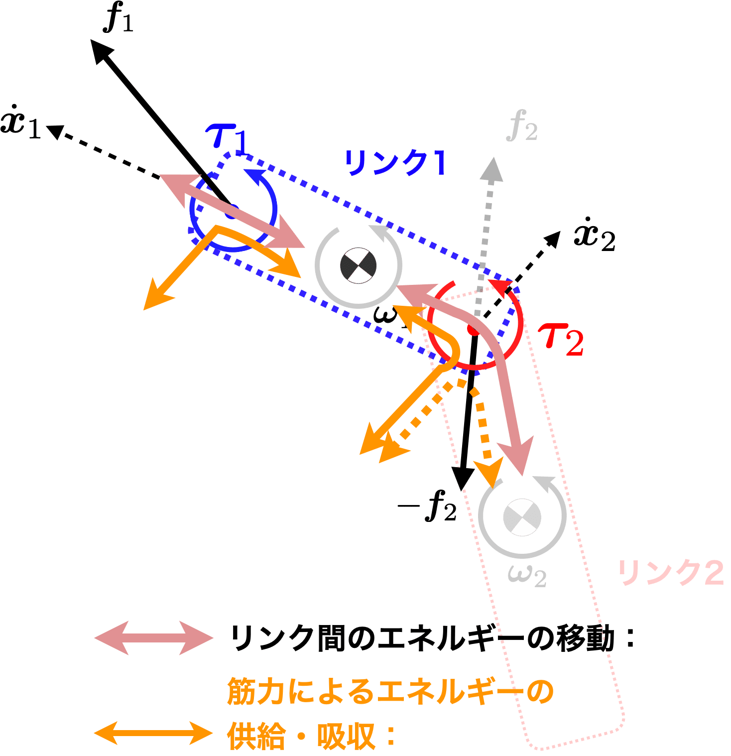 動かして学ぶバイオメカニクス #16 〜動力の伝達〜｜SPORTS SENSING