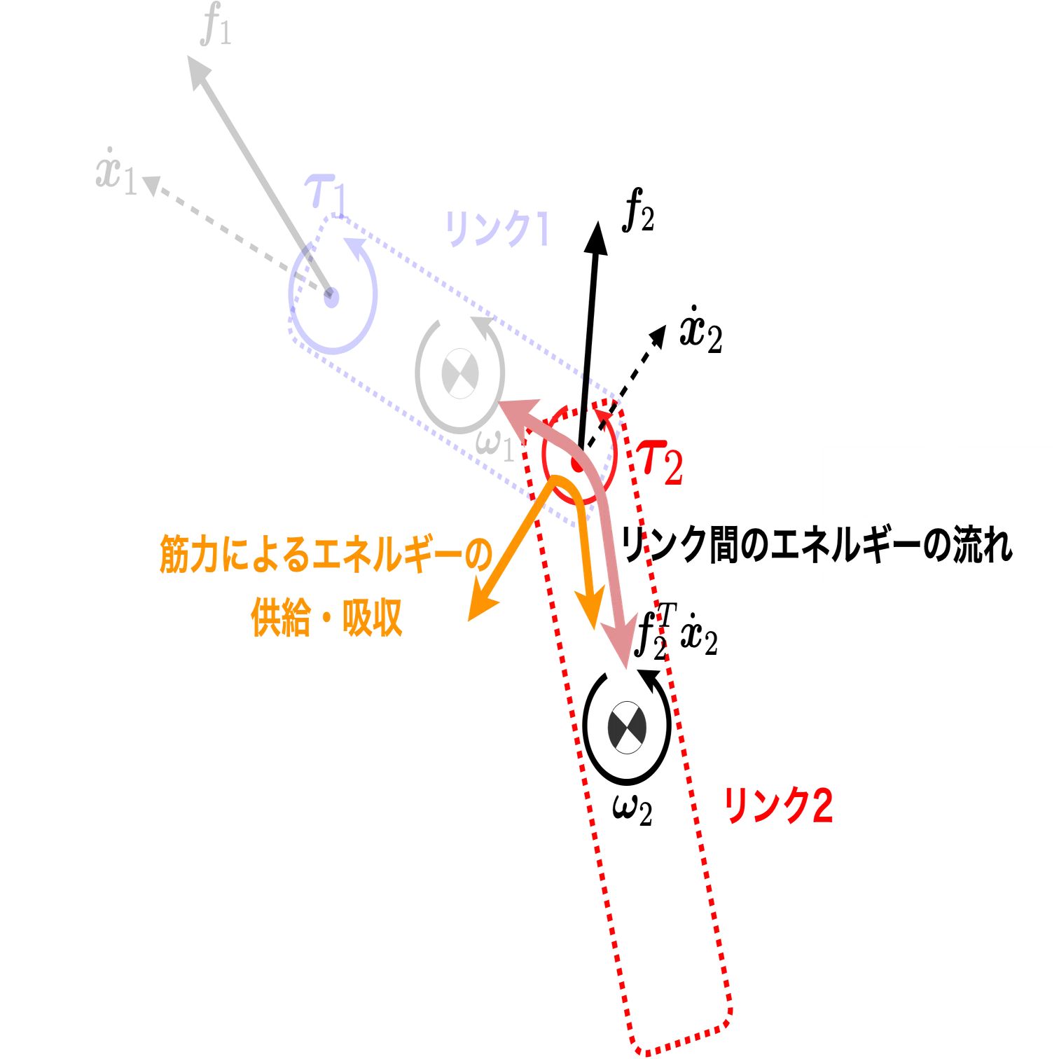 動かして学ぶバイオメカニクス #16 〜動力の伝達〜｜SPORTS SENSING