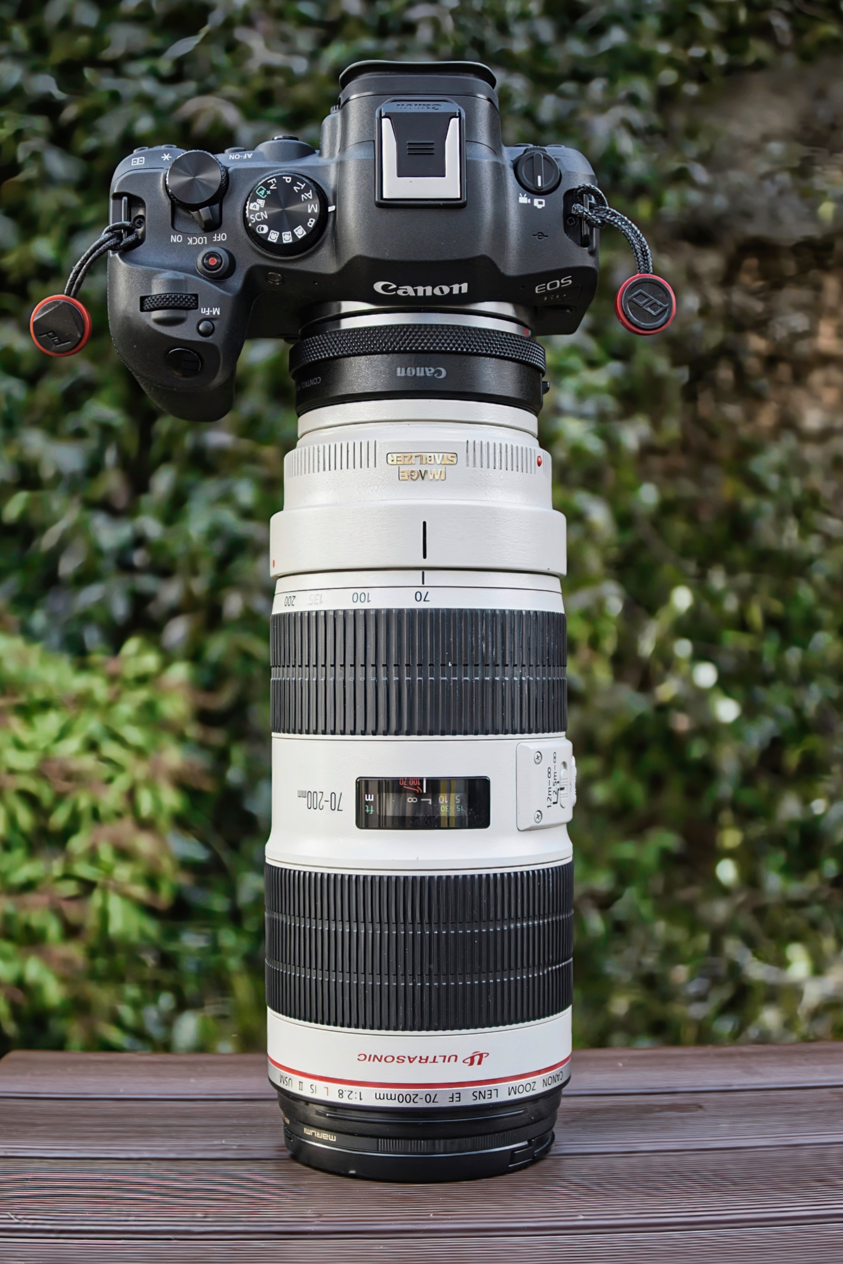 haru様 HARUさま専用 haruさま専用 HARUさま専用 ZX DAMPER 詳細情報