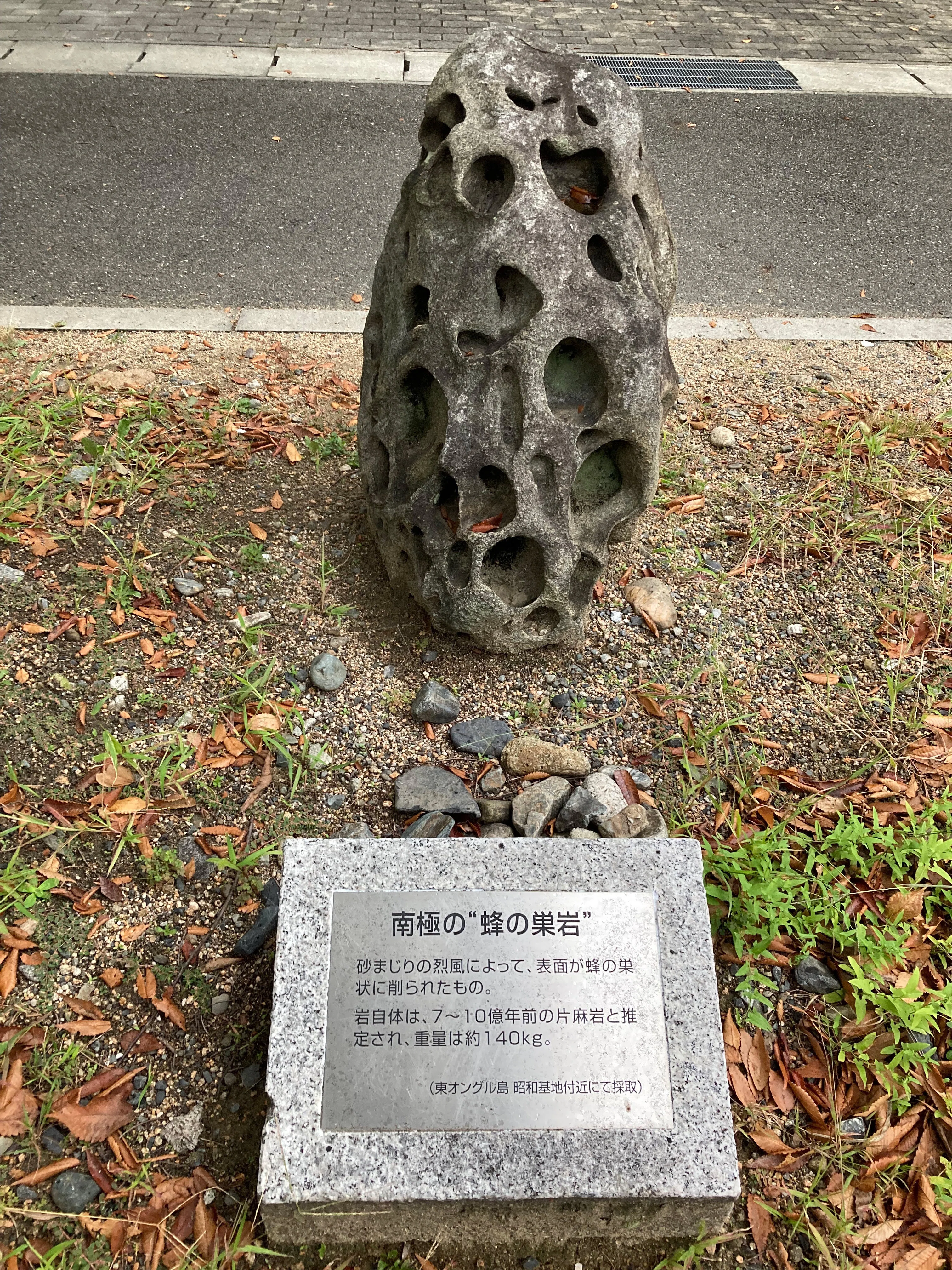 デザインあっ！】南極の“蜂の巣岩”｜柴田孝史