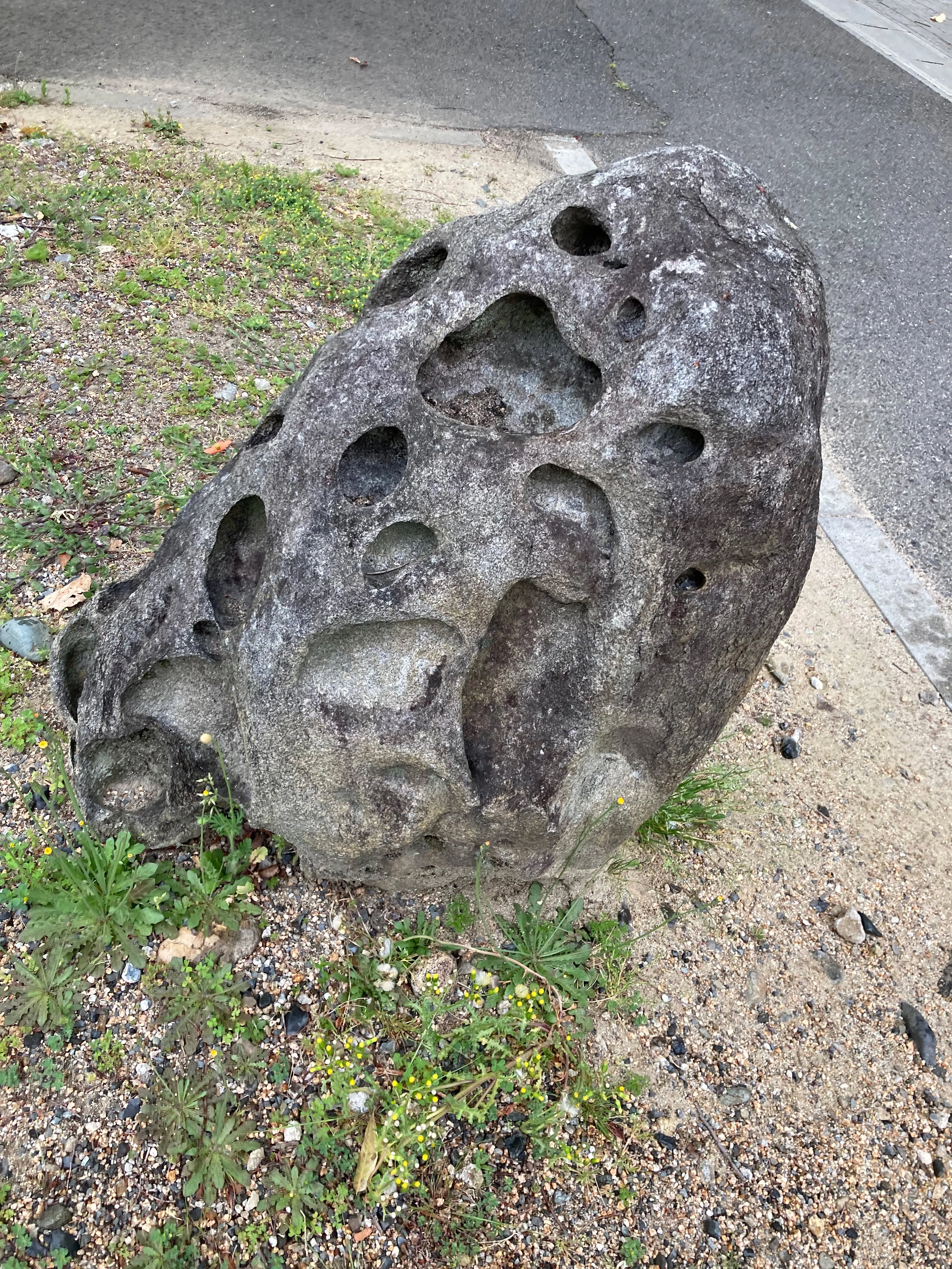 デザインあっ！】南極の“蜂の巣岩”｜柴田孝史