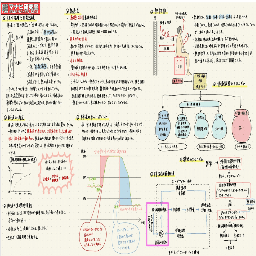 体温調節の仕組み：講義グラレコ紹介 歯学科 2022｜マナビ研究室