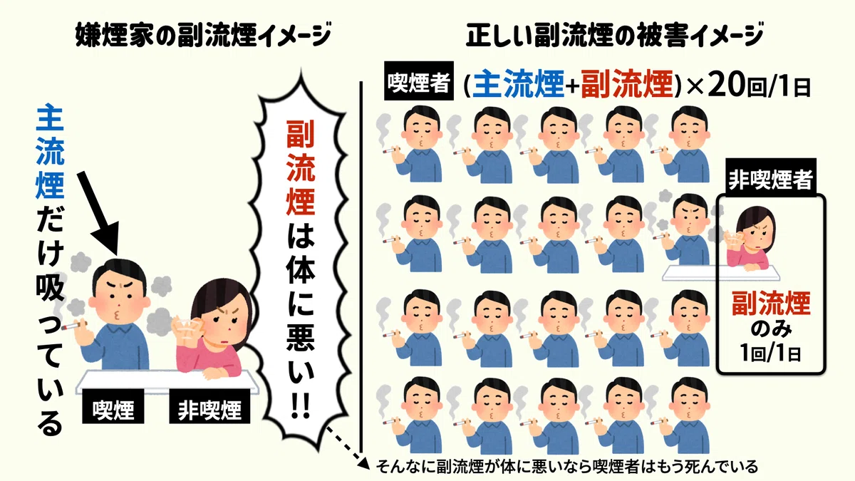 嫌煙家の「タバコの副流煙は体に悪い!」の認識がおかしいので修正する|Warimizu