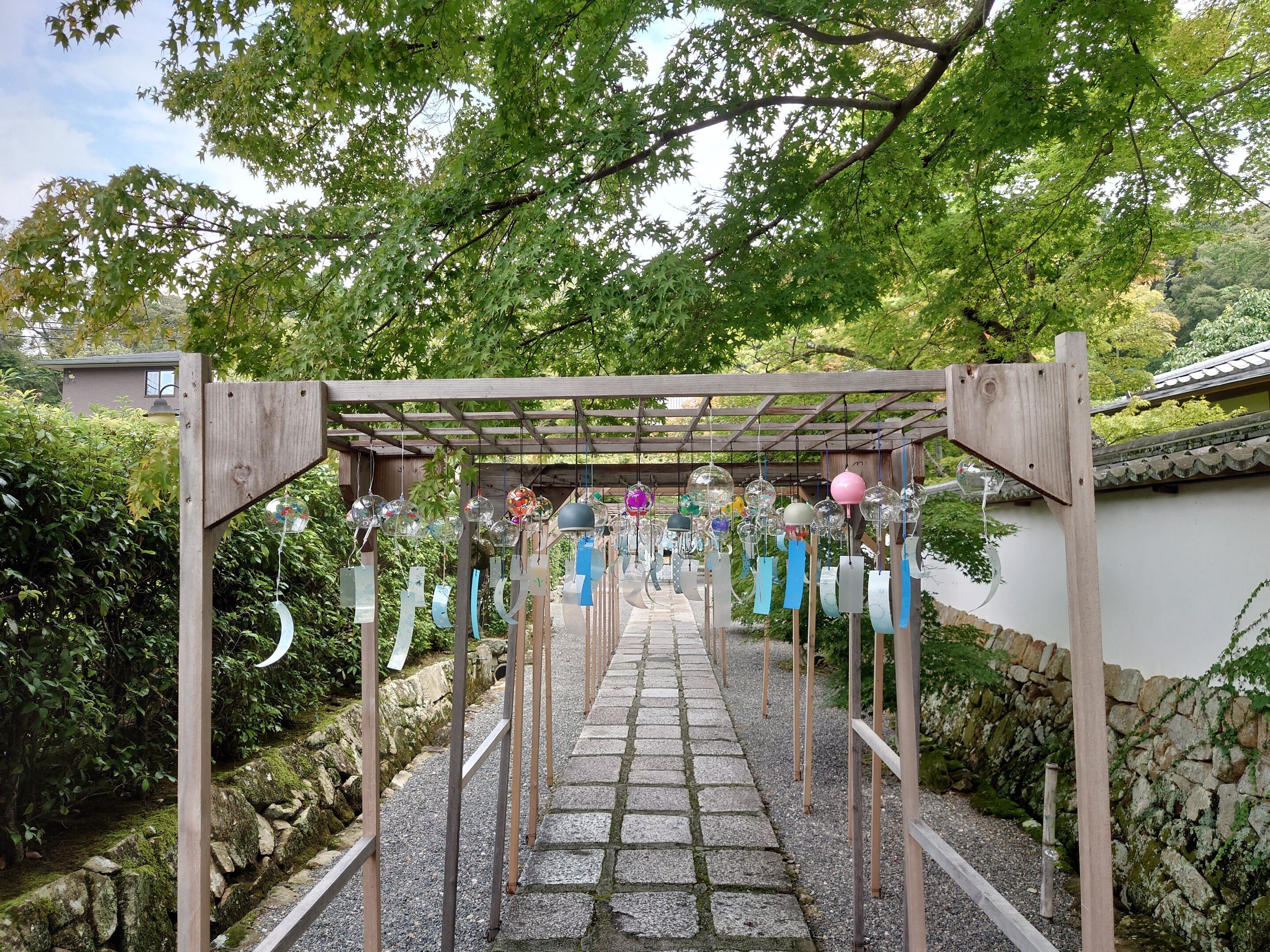 満願寺2022年8月23日【風鈴】｜レタス
