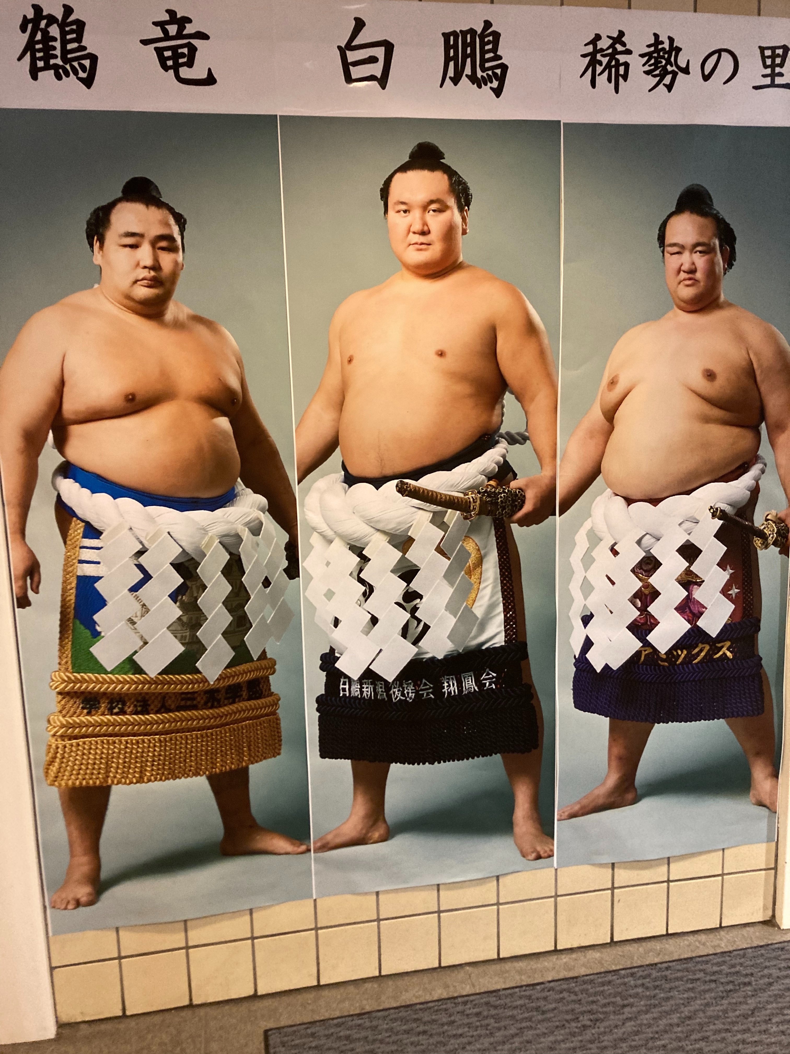 相撲博物館は「白鵬・鶴竜・稀勢の里 三横展」｜野猿（やえん）