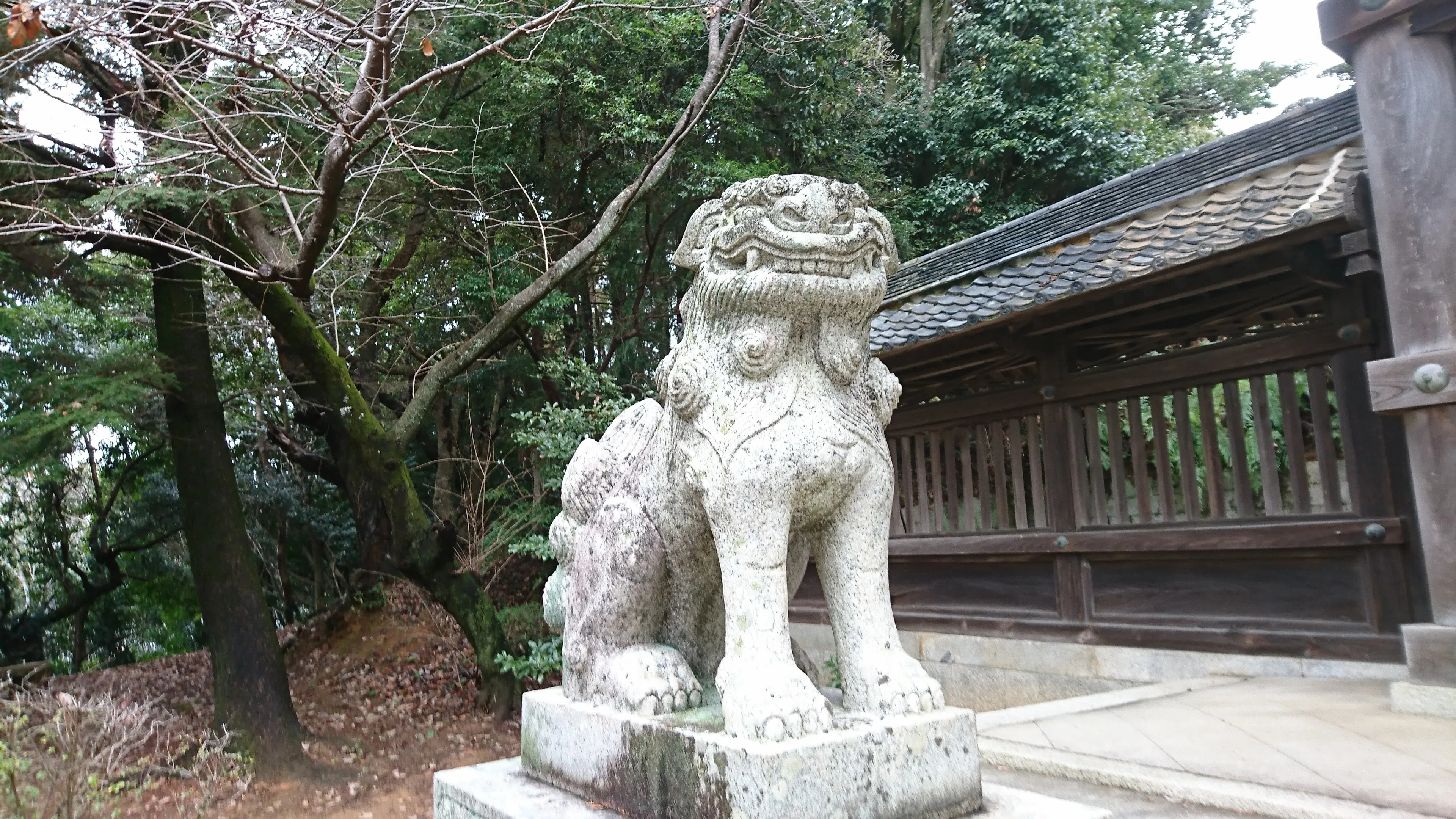 花岡八幡宮の狛犬たち｜雪村つばめ