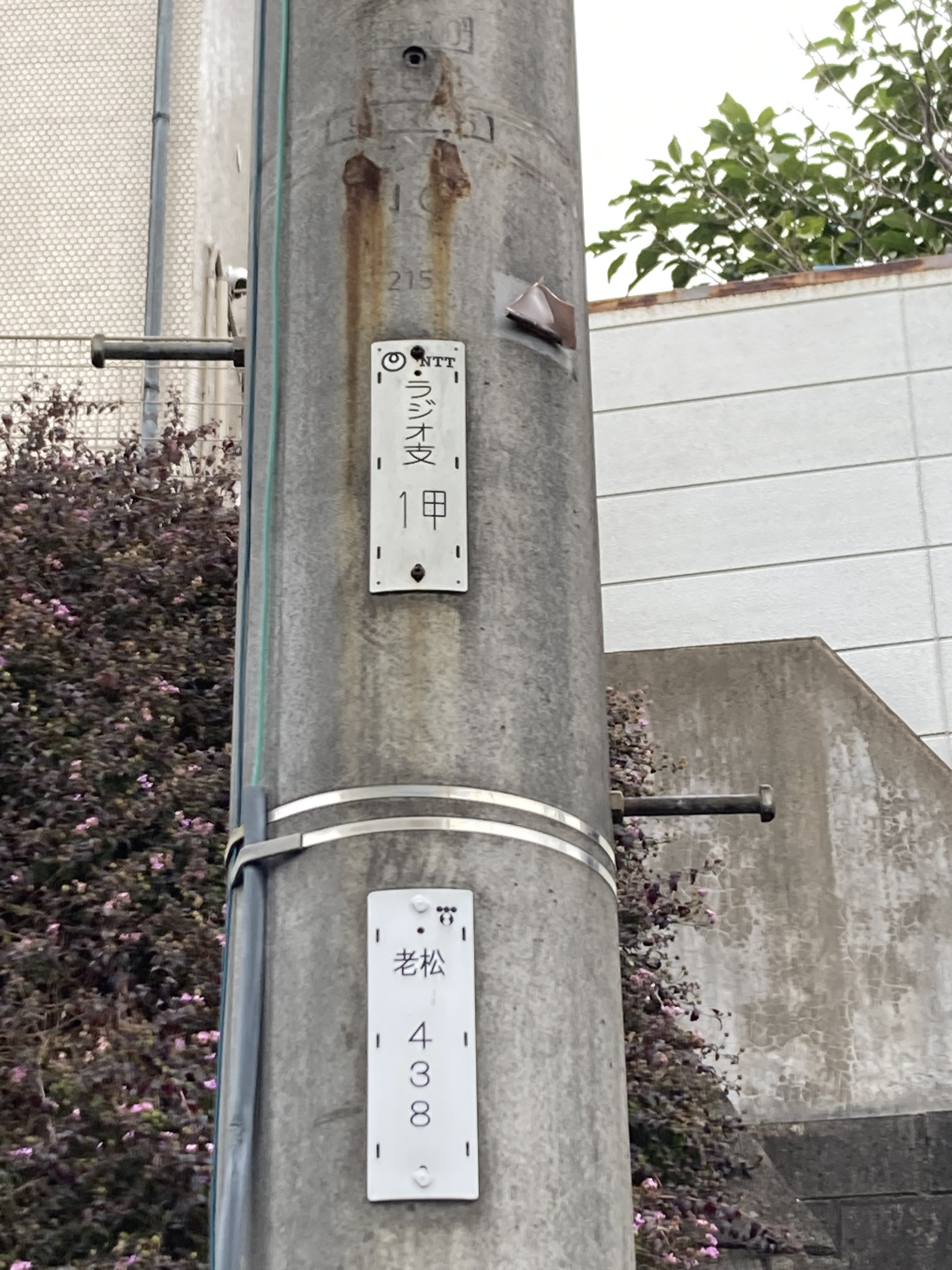 ラジオ｜factotum Inc.