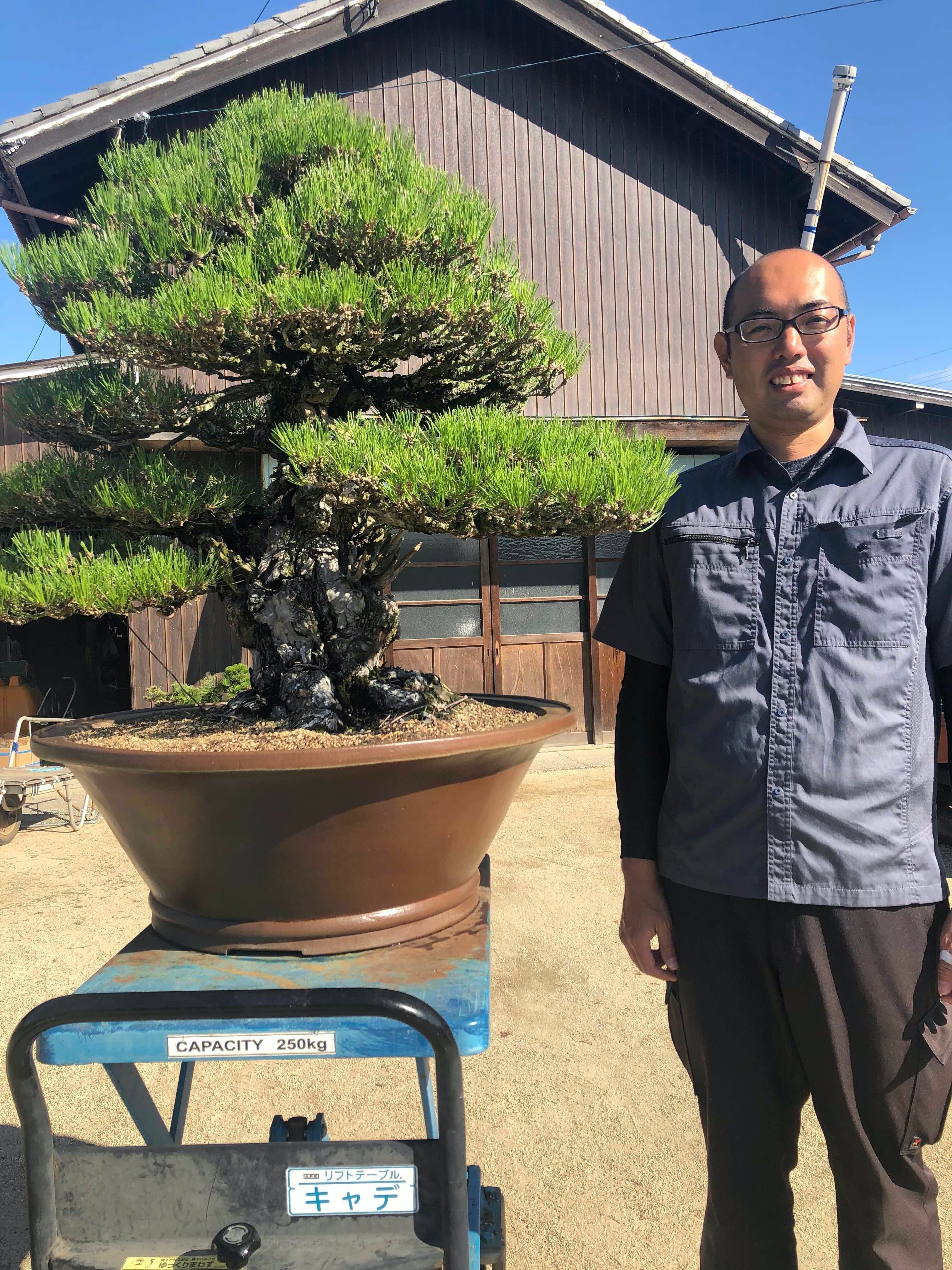 なぜ、この盆栽にパトロンが必要なのか｜盆栽マン