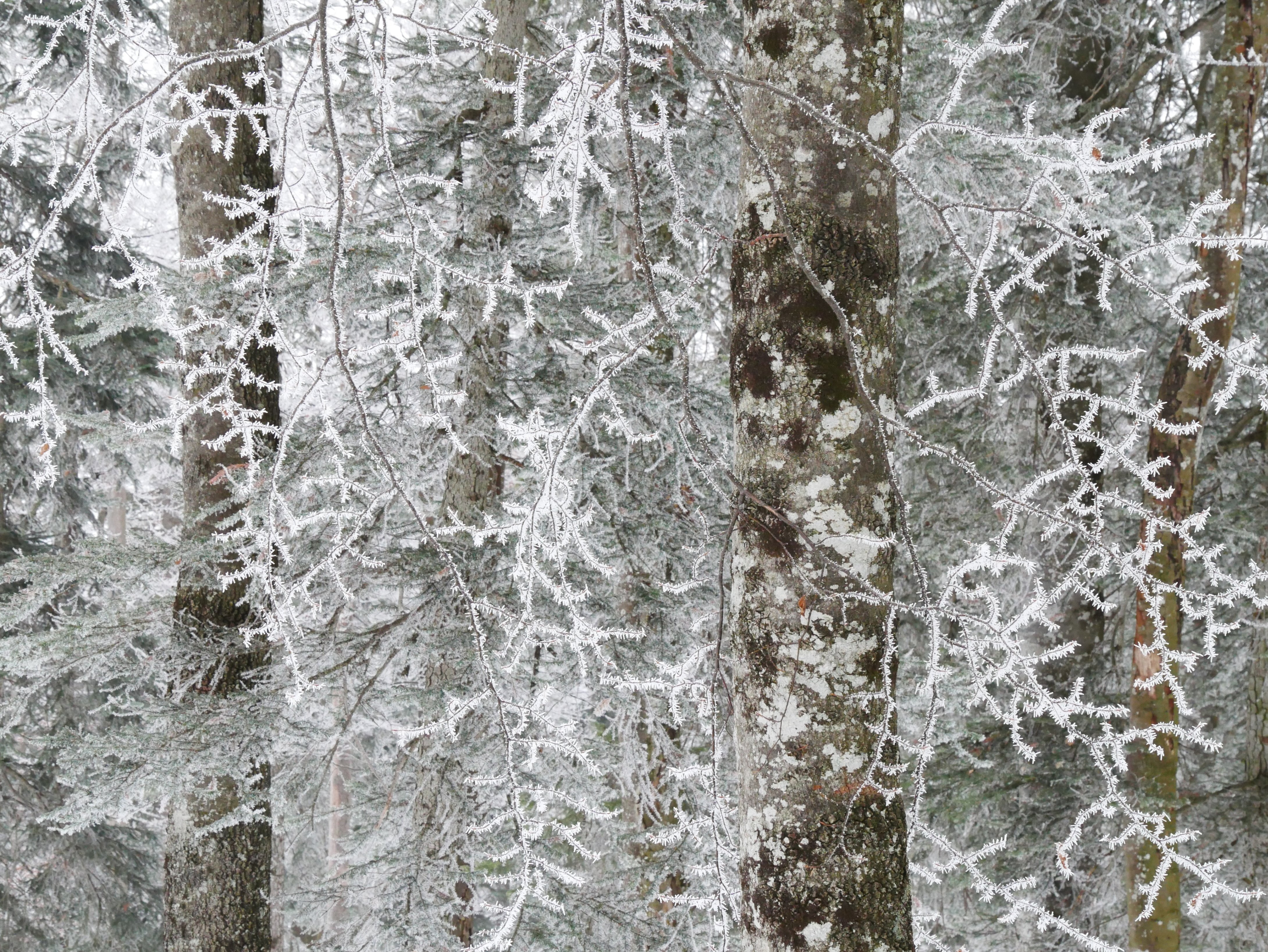 絵画のような写真｜世界の人に聞いてみた