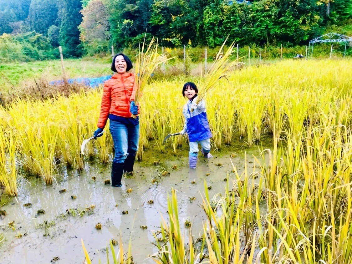 茨城県 茨城町農地 1200坪 水田