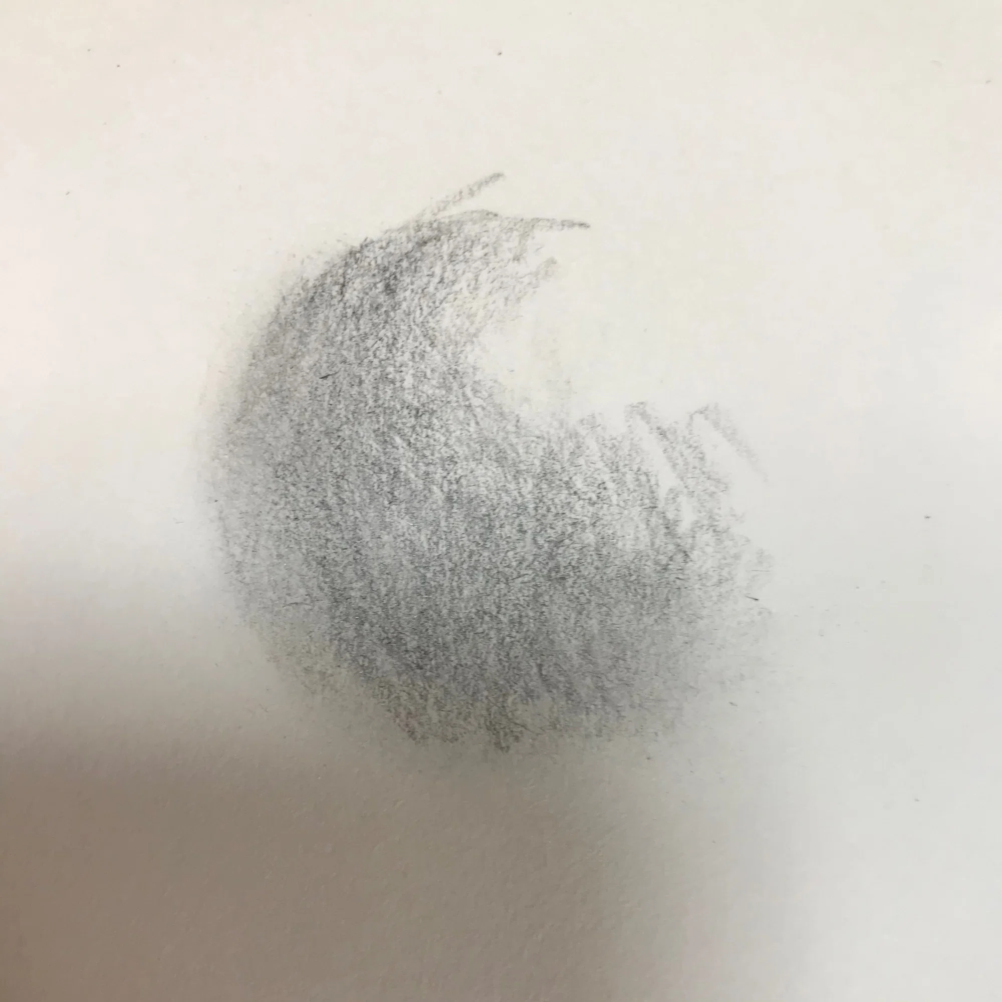 美大入試前最後のデッサンcheck！｜るぅ1mm