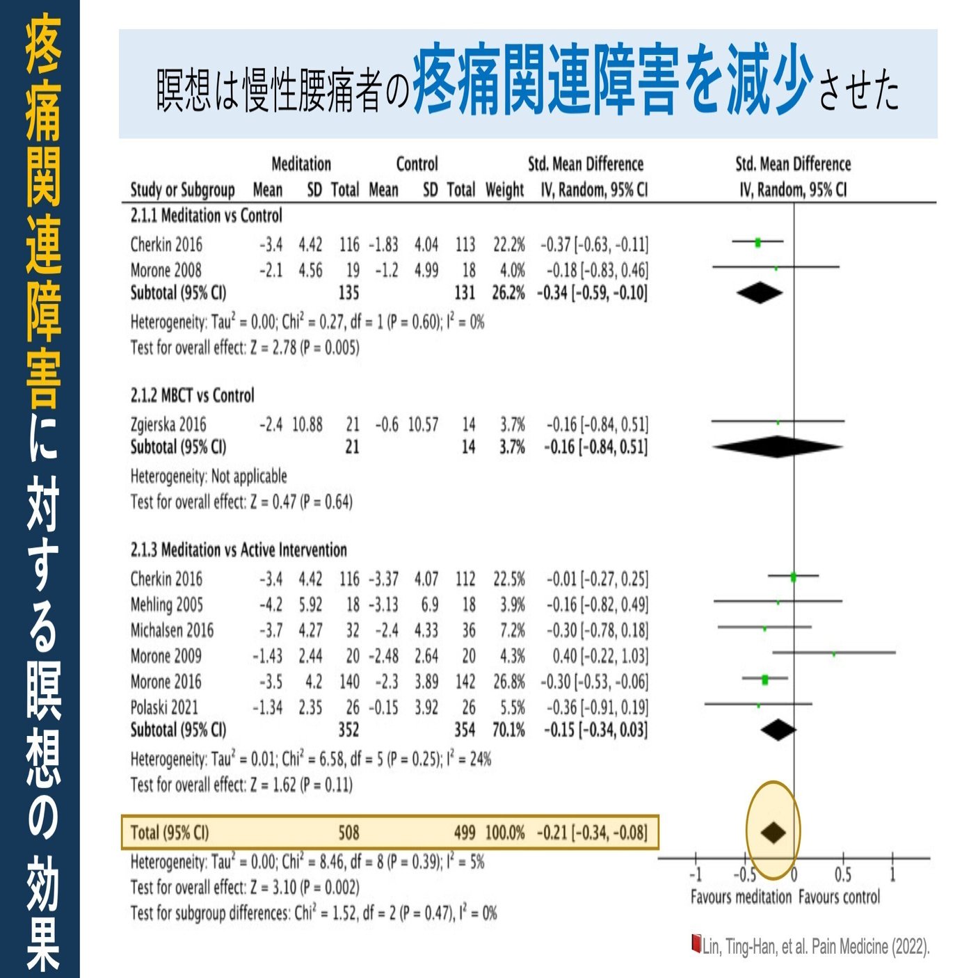 マインドフルネスを活用した腰痛対策 - マインドフルネスと腰痛リハビリテーションの統合