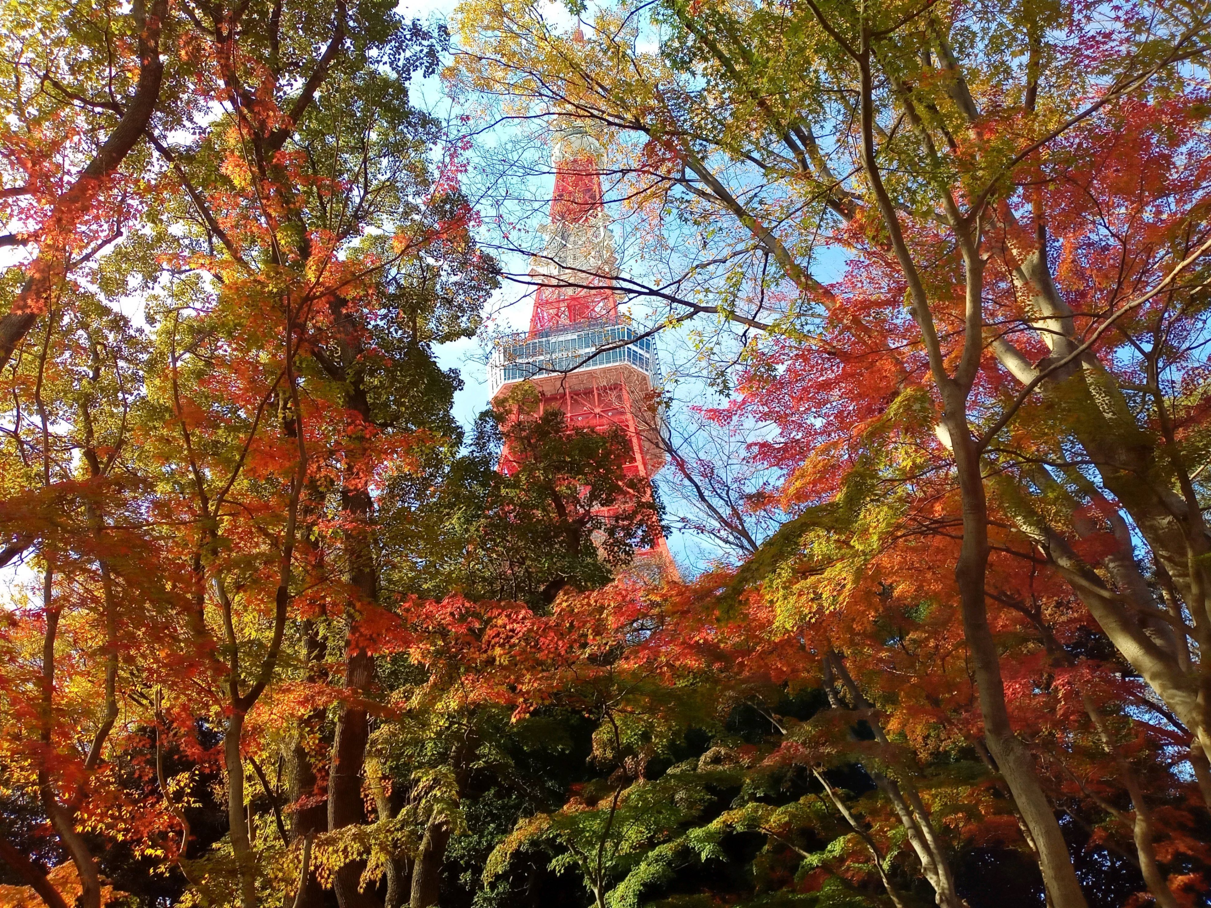 紅葉様ごオーダーページ 鶴仙峡の紅葉（まだ色づき始め） | 勢いだけでやるページ