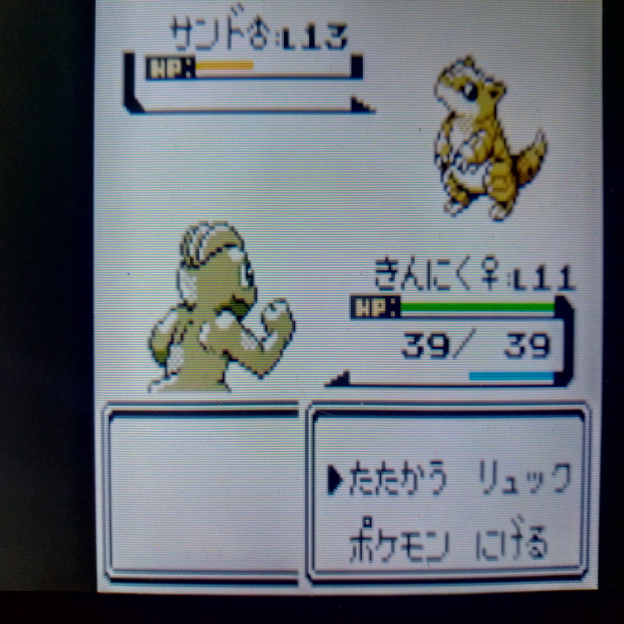 ポケモン日記 1 懐かしのゲームコーナー 制作太郎 色違いポケモン収集 Note