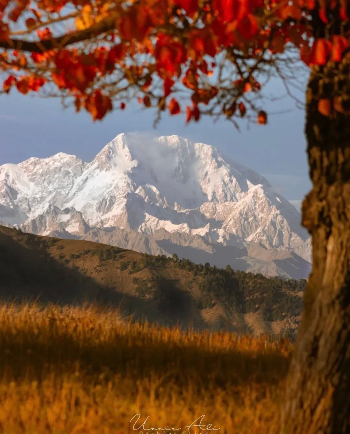 概要：比類のないパキスタンの高山の威厳｜パキスタン情報セクション