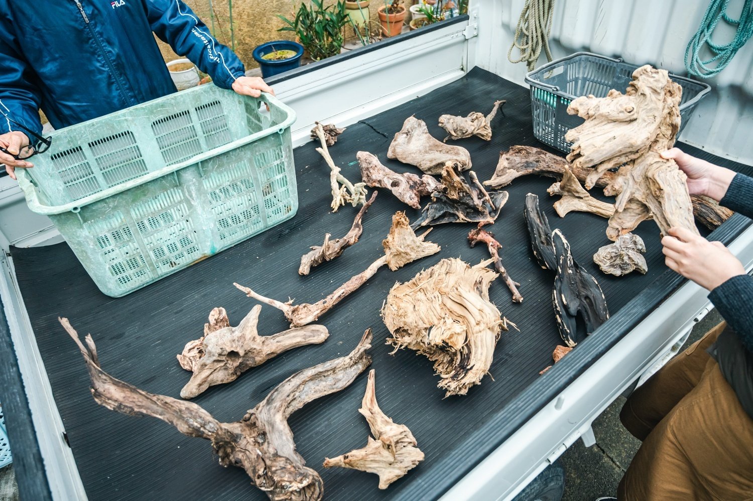 30年前に拾って乾燥させてあった流木