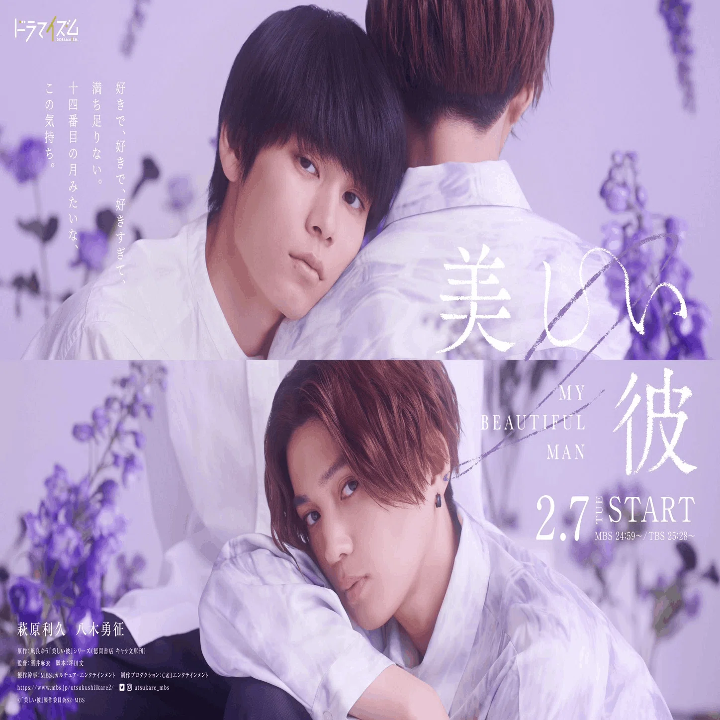日本BLドラマ】美しい彼｜第二期、映画化決定！！！｜苏打酱（sodaちゃん）