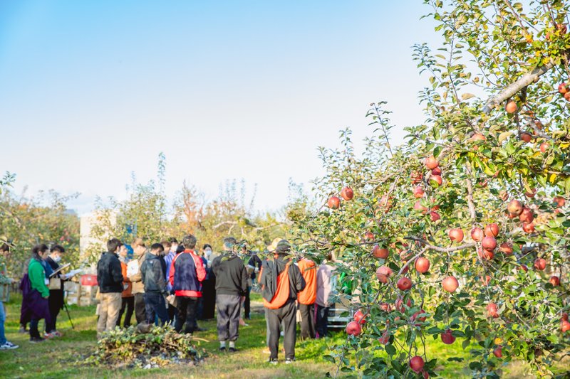 青森県平川市のりんご農園