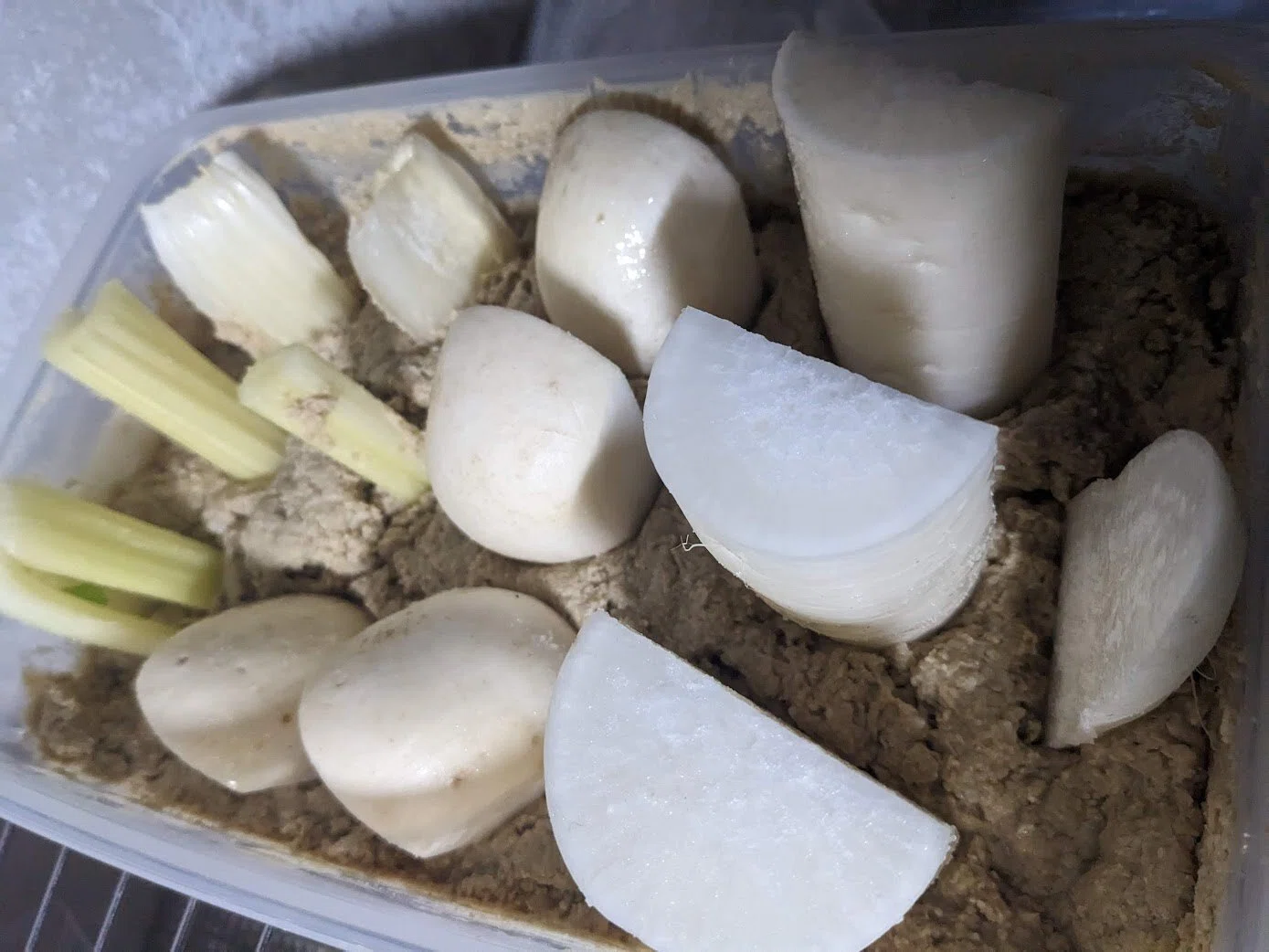 簡単即席】そやしぬか床のつくり方｜小島達也 醸造哲学サケノート