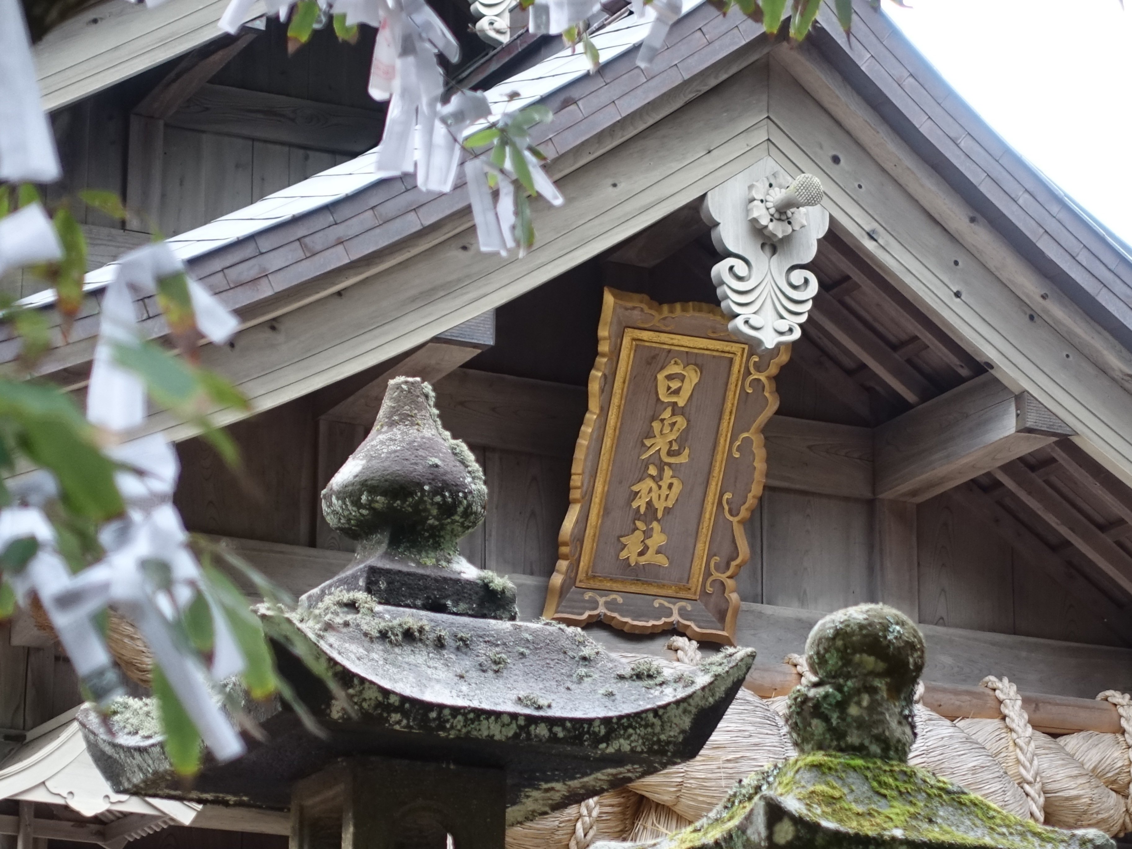 鳥取ひとり旅の話・その①～白兎神社～｜ひじき