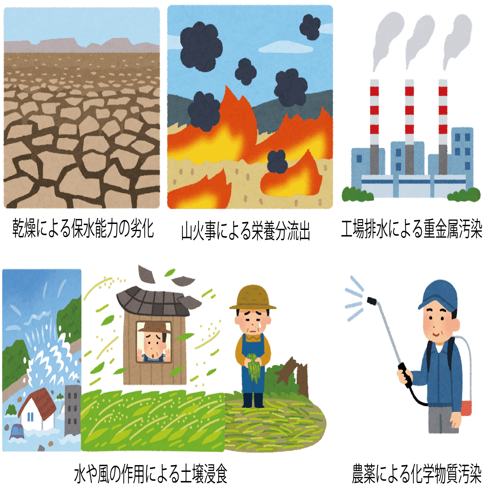 6 3 環境と土壌 ワッキー教授 Note